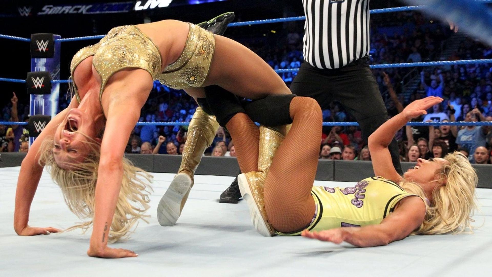 World Wrestling Federation Smackdown! background