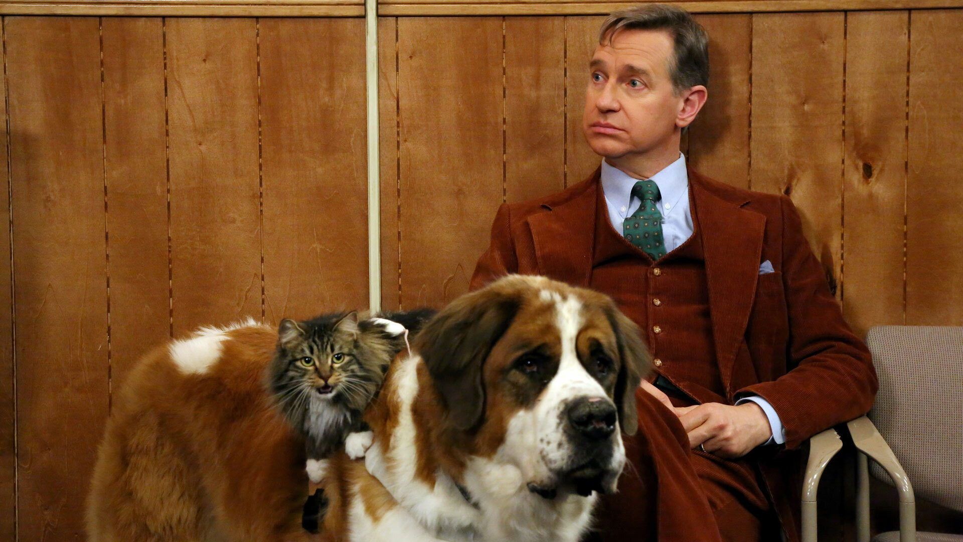 The Office background