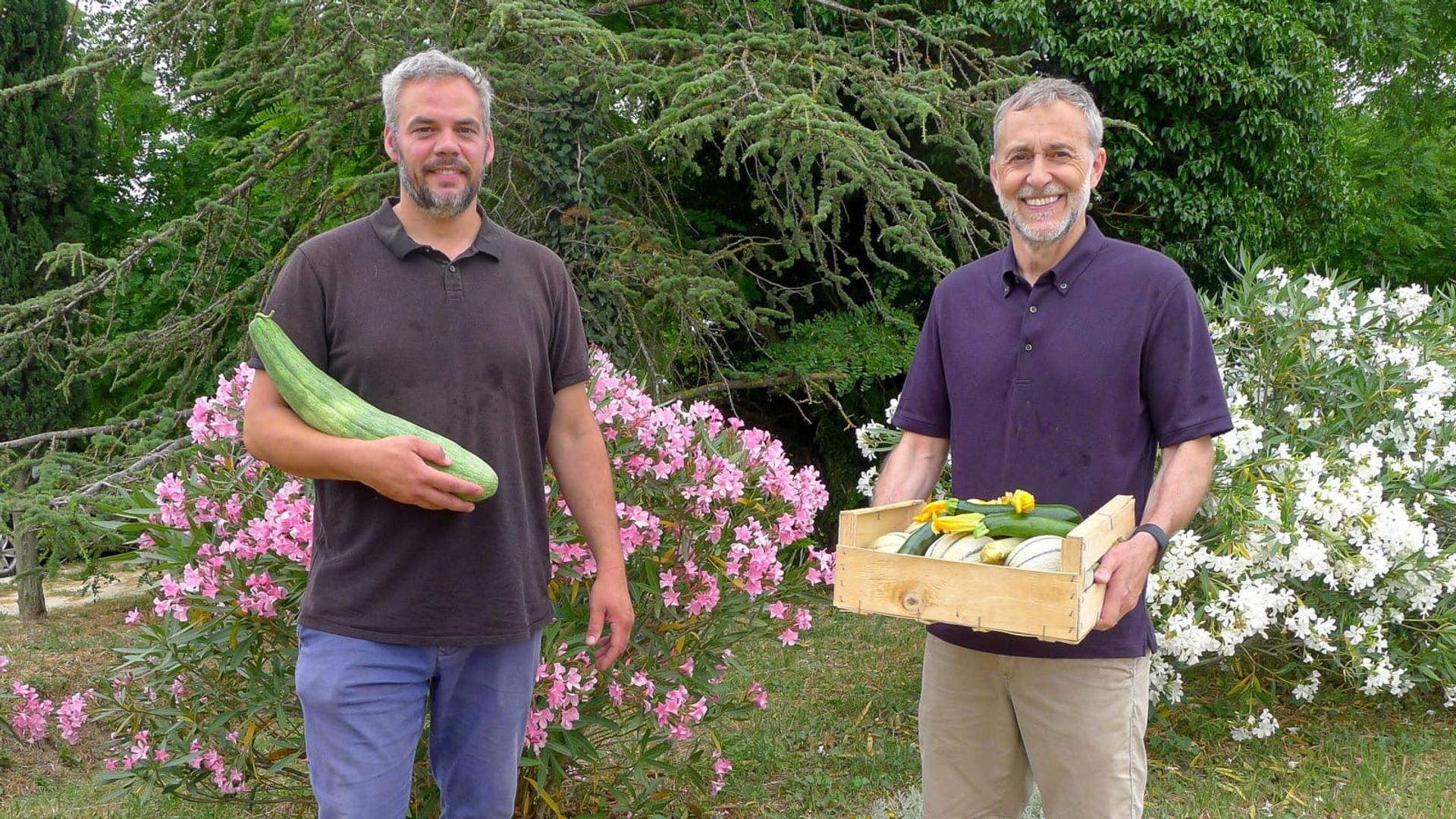 Michel Roux's French Country Cooking background