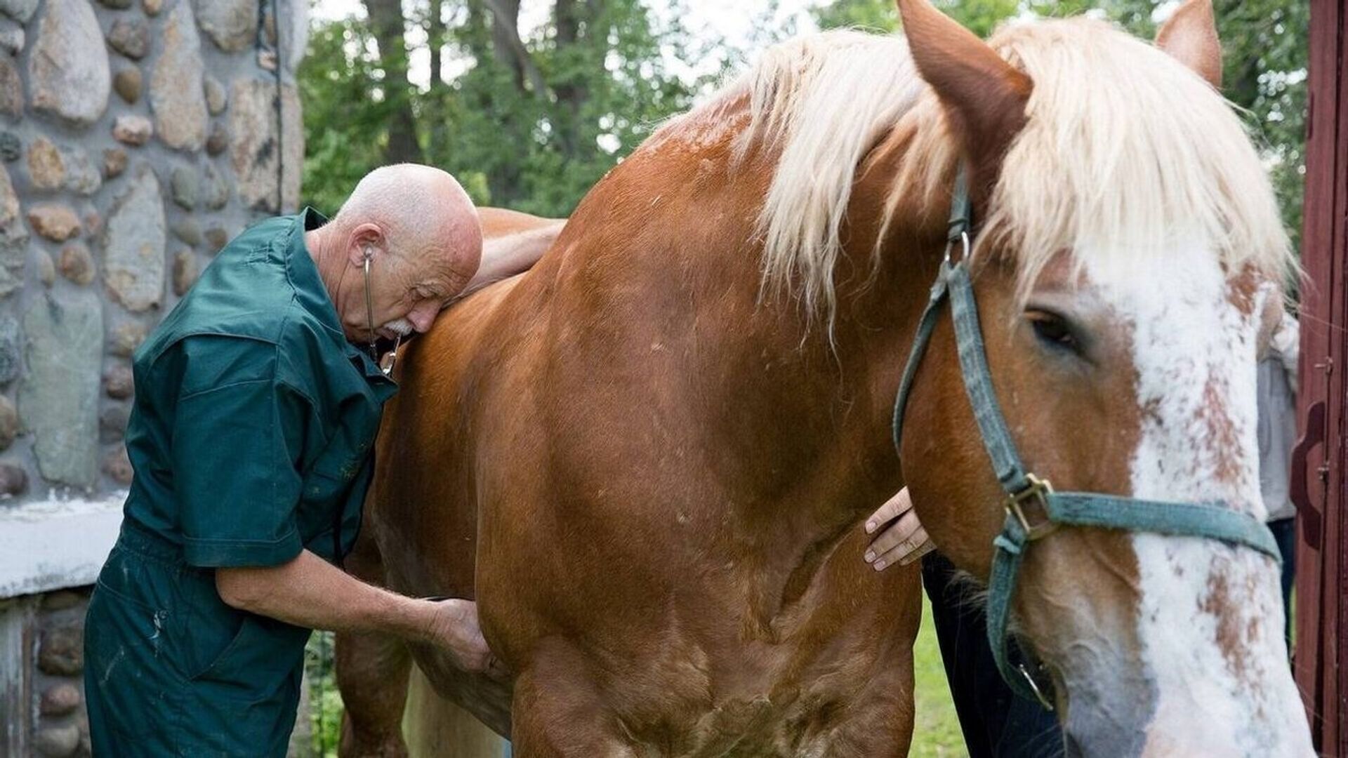 The Incredible Dr. Pol background