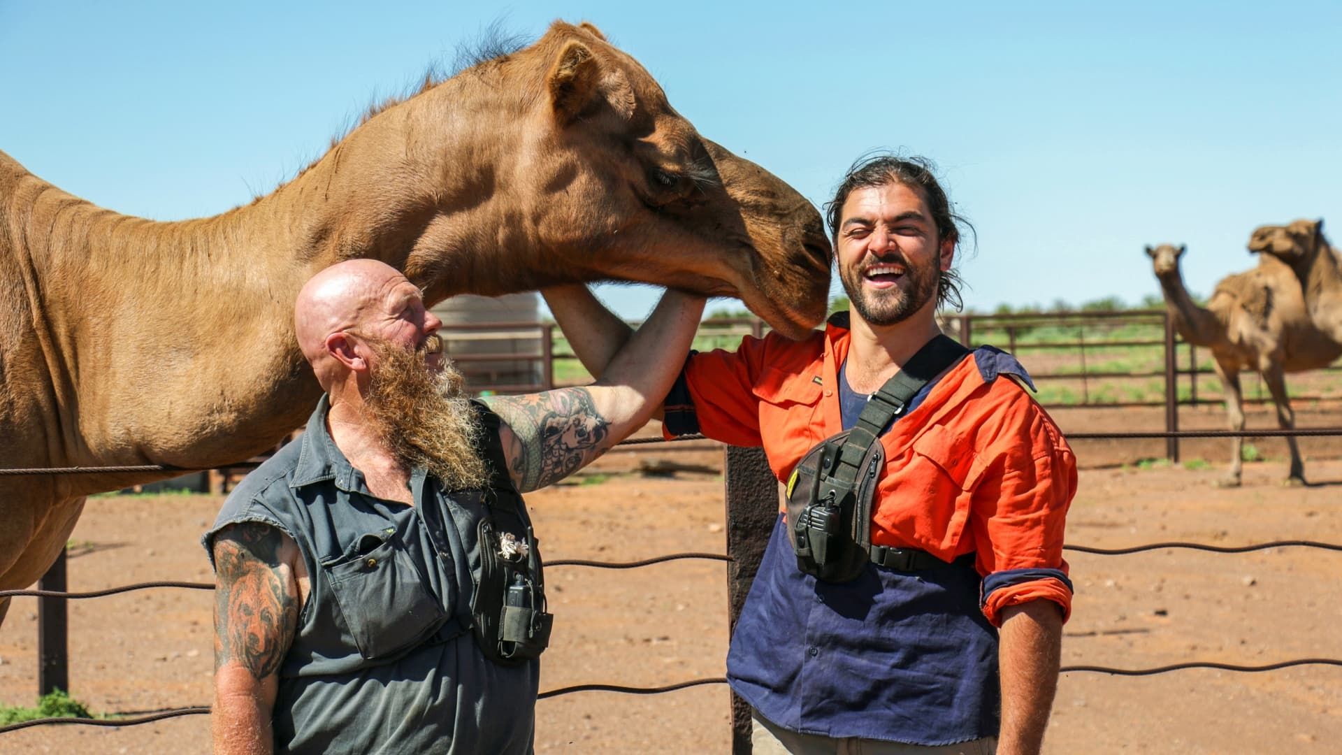 Opal Hunters Red Dirt Road Trip background