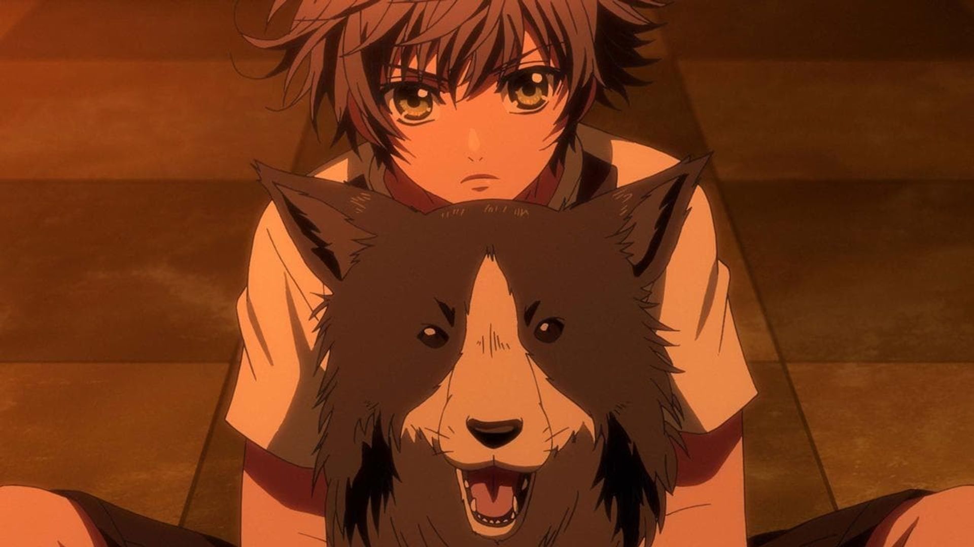 Hakkenden: Eight Dogs of the East background
