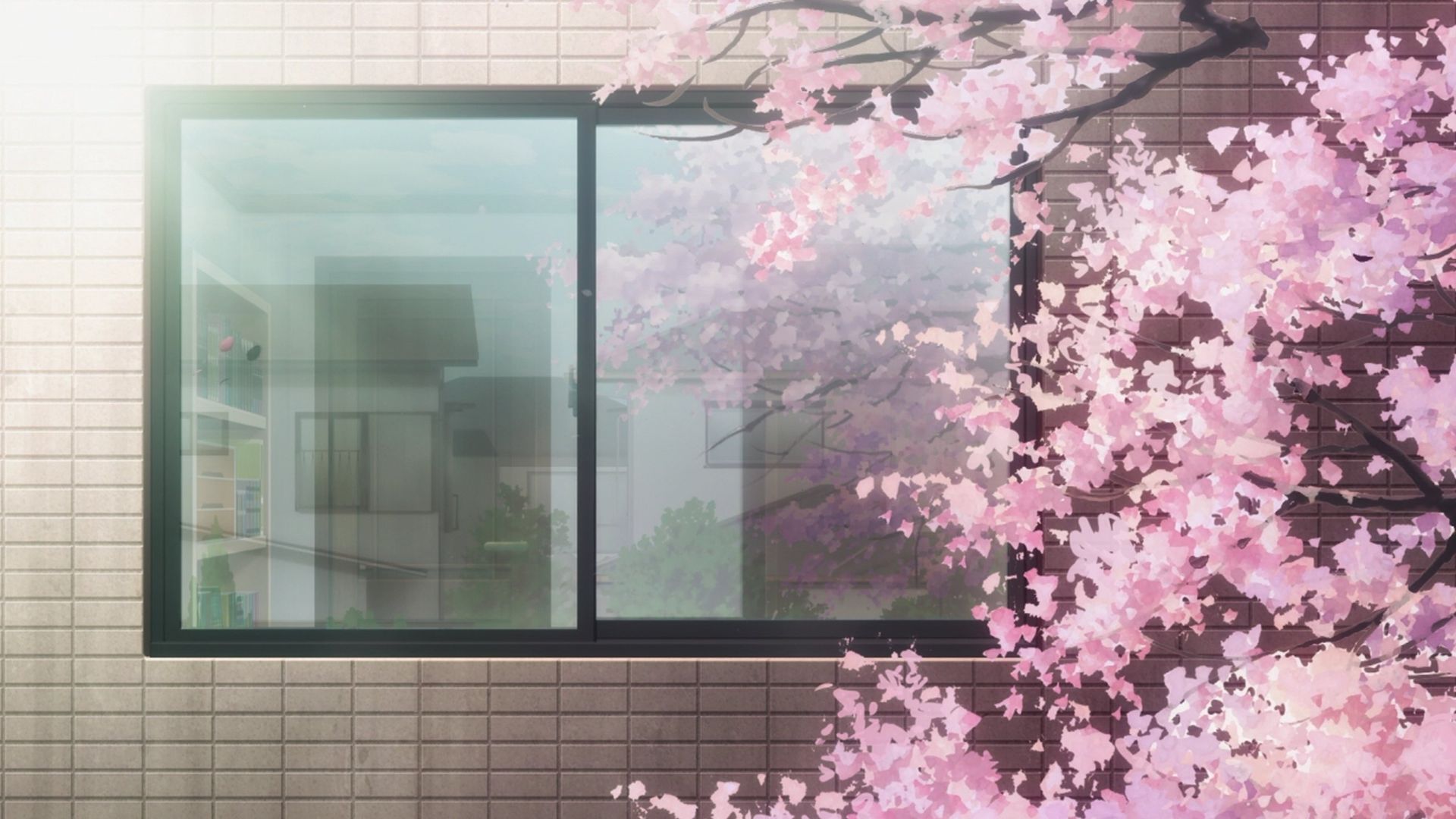 Photo Kano background
