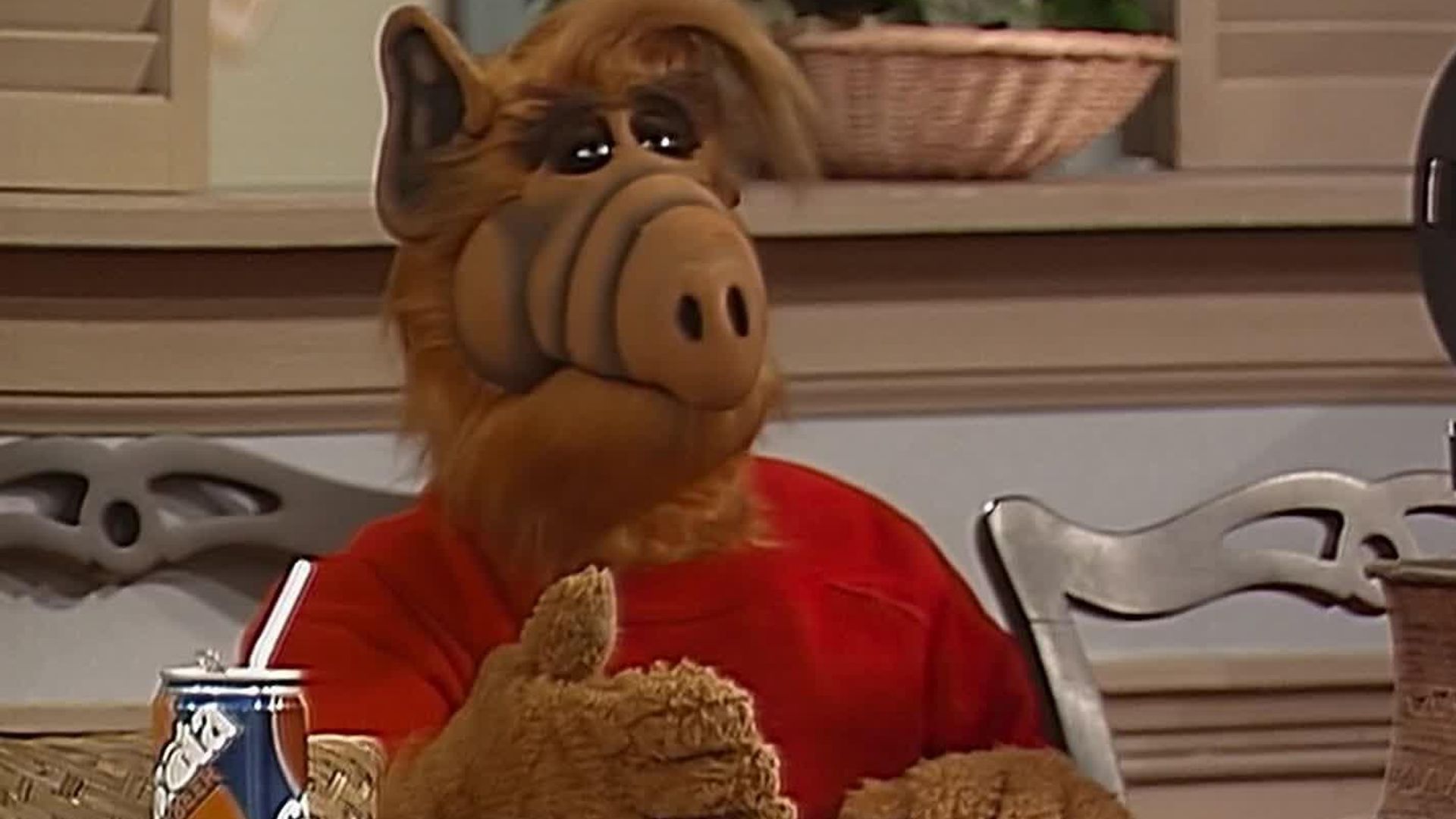 ALF background