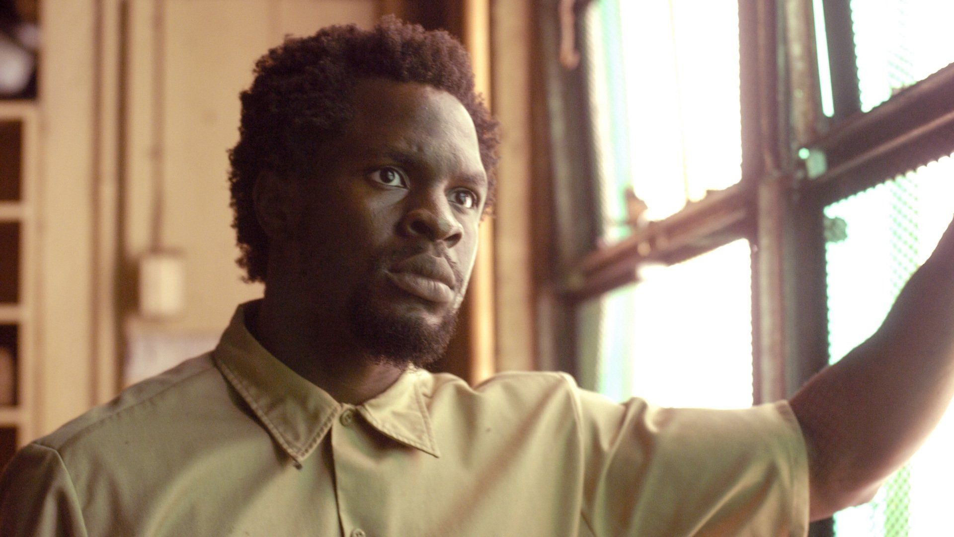 The Wire background