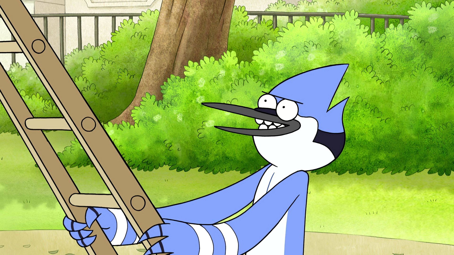 Regular Show background