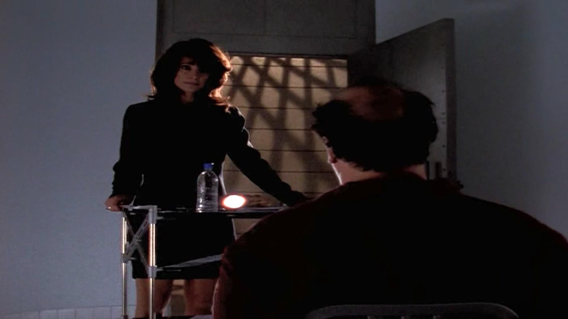 La Femme Nikita background