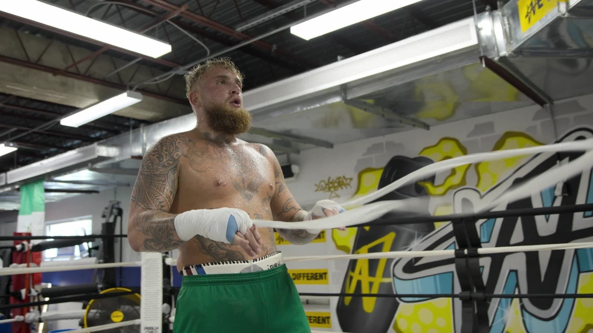 Countdown: Paul vs Tyson background