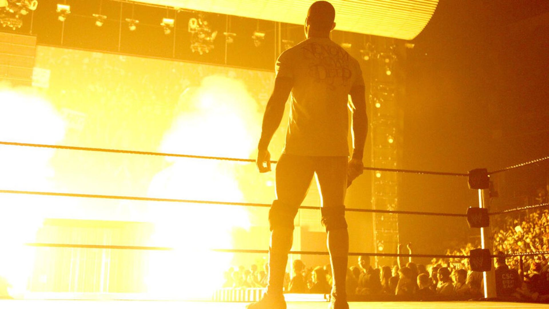 World Wrestling Federation Smackdown! background