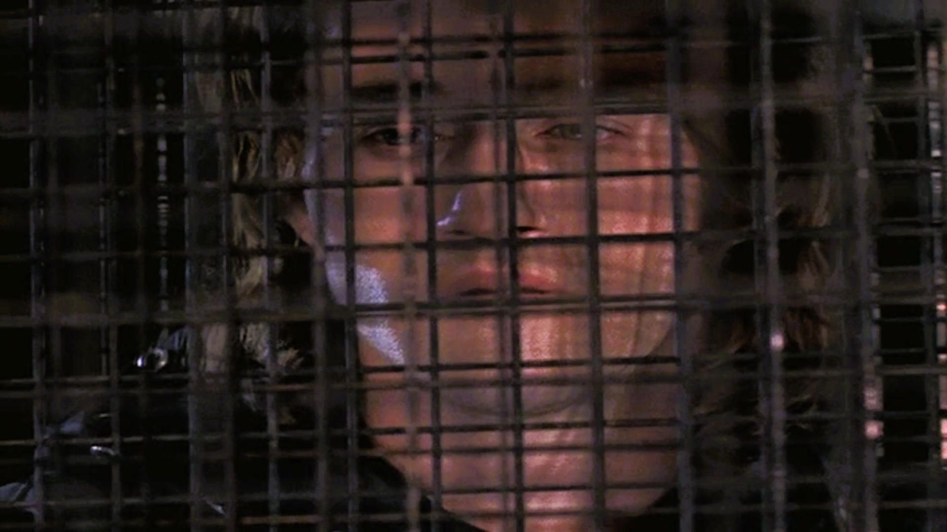 La Femme Nikita background