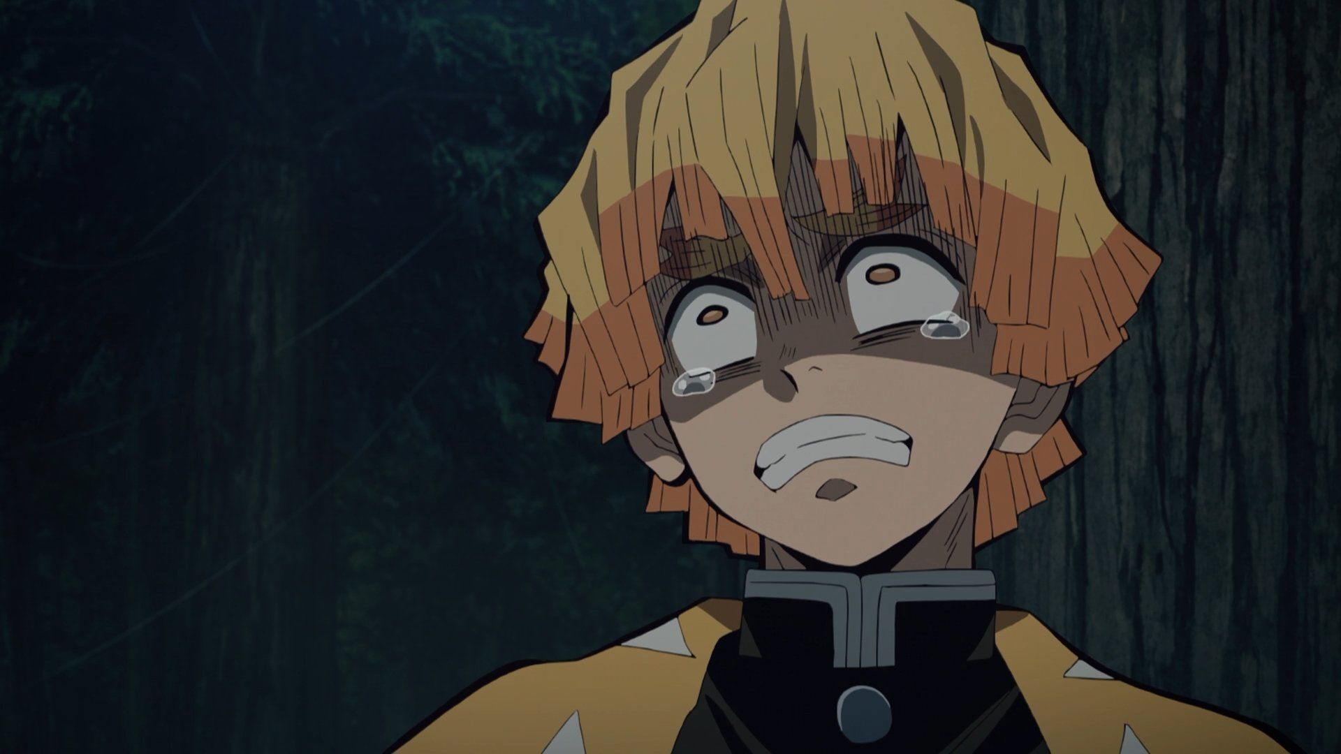 Demon Slayer: Kimetsu no Yaiba background