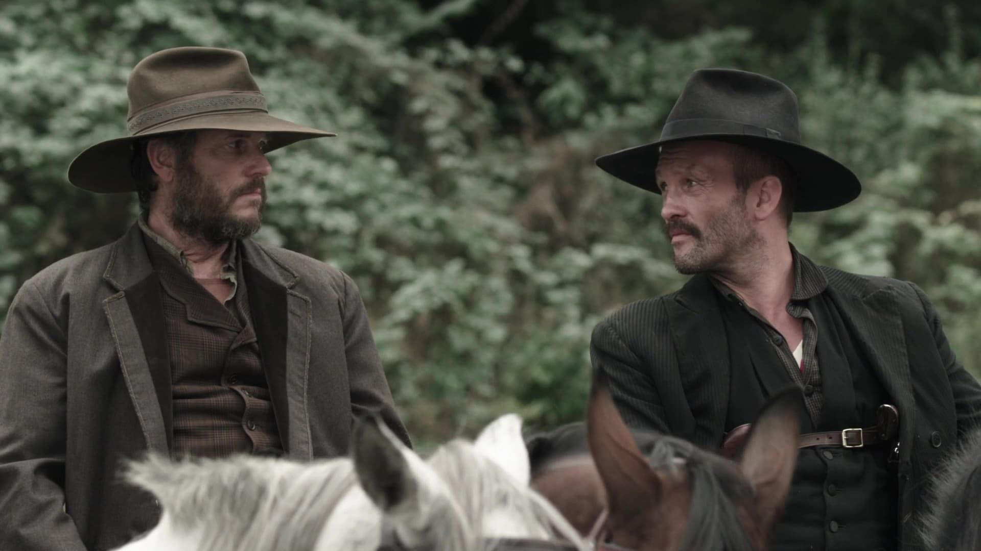 Hatfields & McCoys background