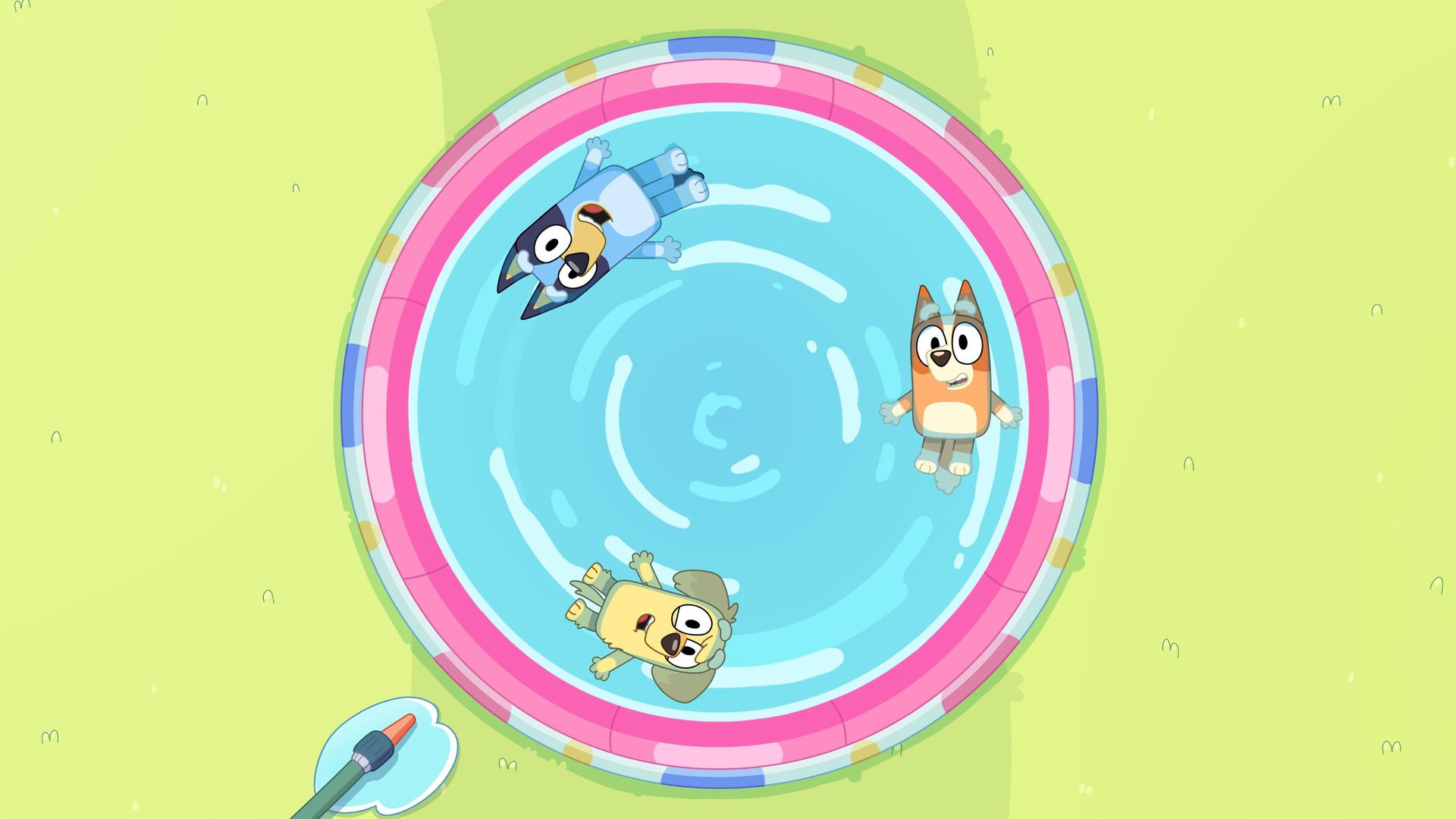 Bluey Minisodes background