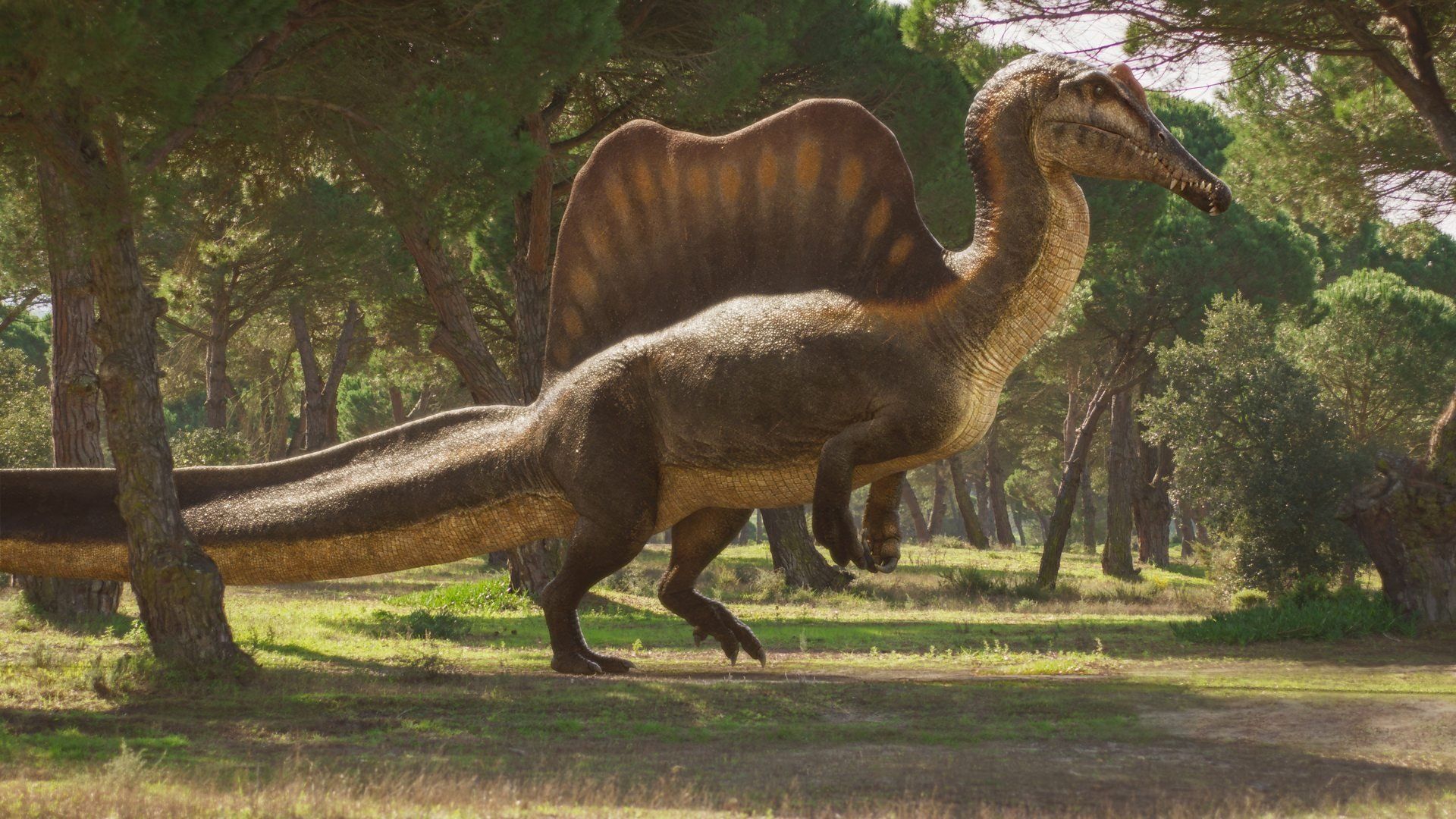 Walking with Dinosaurs background
