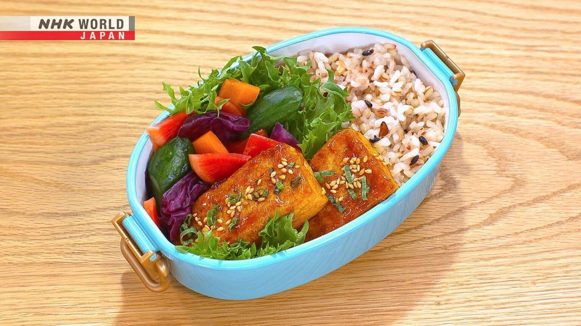 Bento Expo: The Global Lunchbox Project background