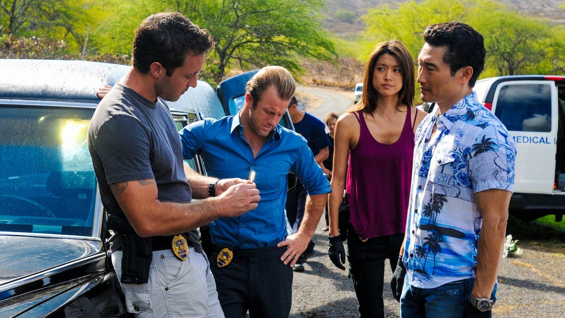 Hawaii Five-0 background