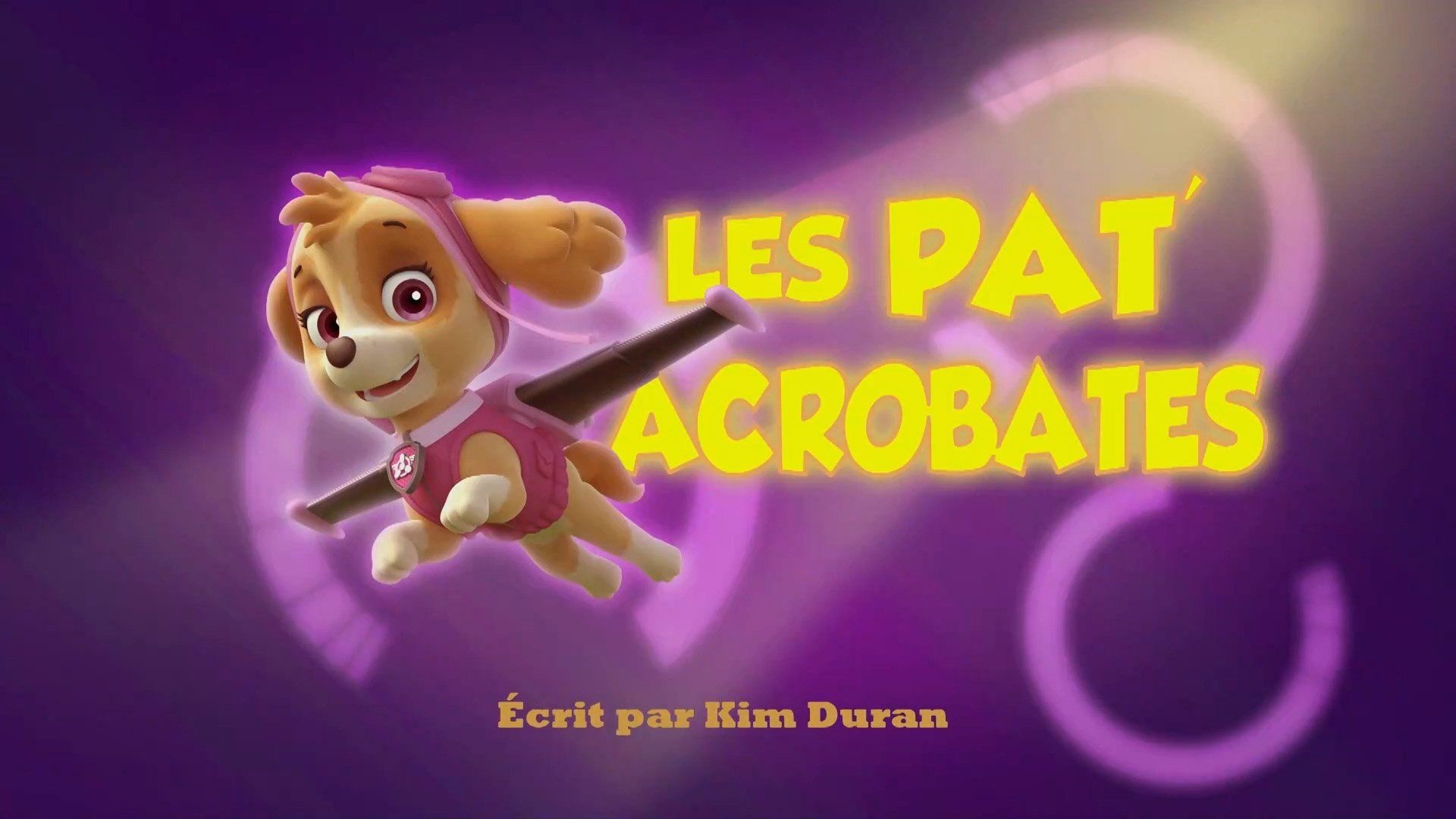 PAW Patrol background