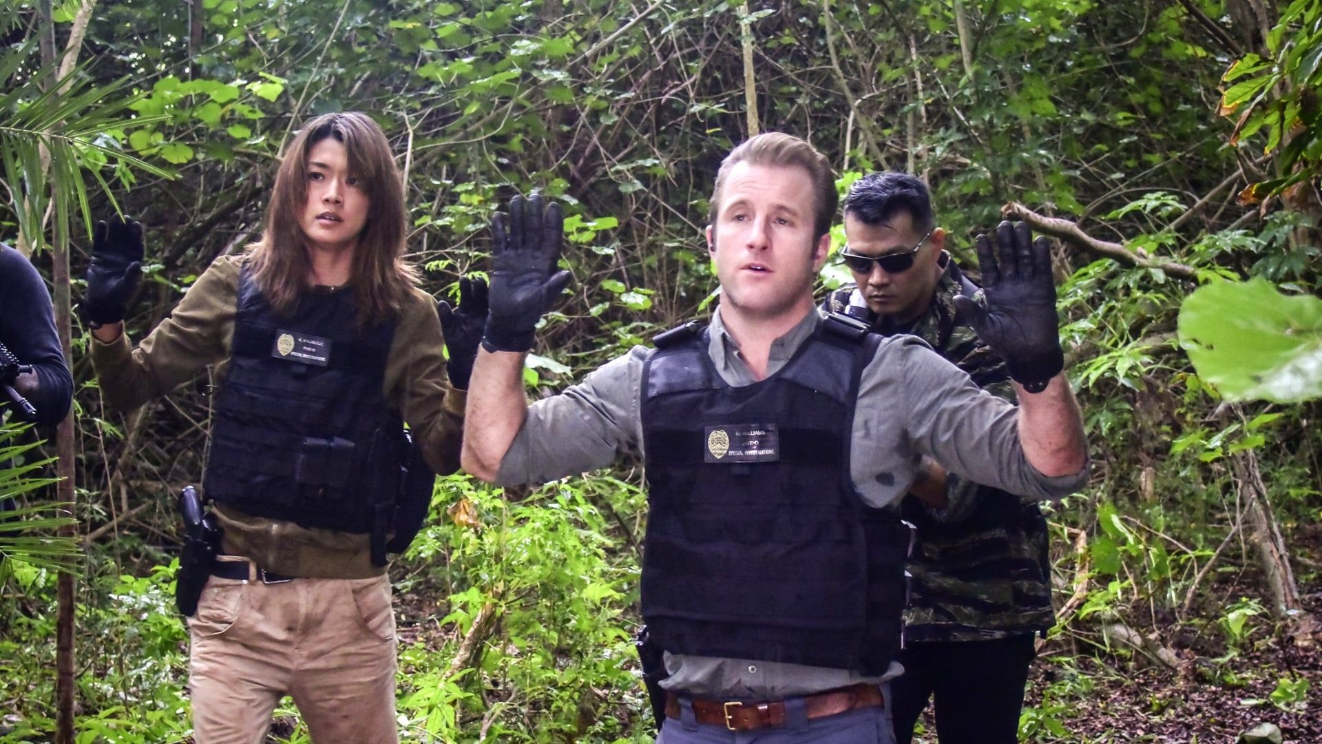 Hawaii Five-0 background