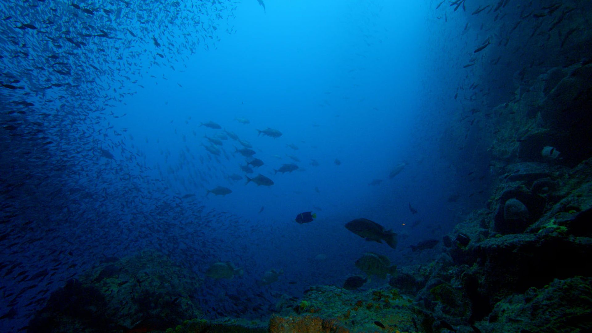 Galapagos 3D background