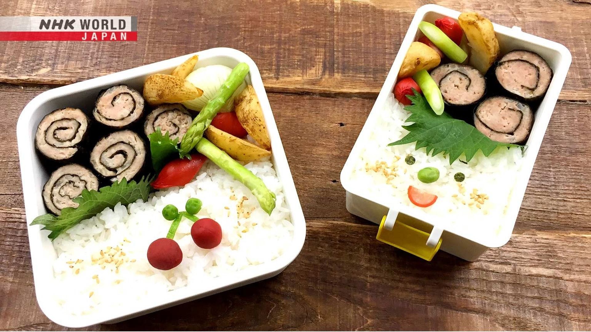 Bento Expo: The Global Lunchbox Project background