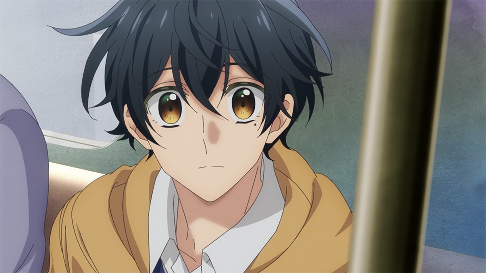 Sasaki and Miyano background