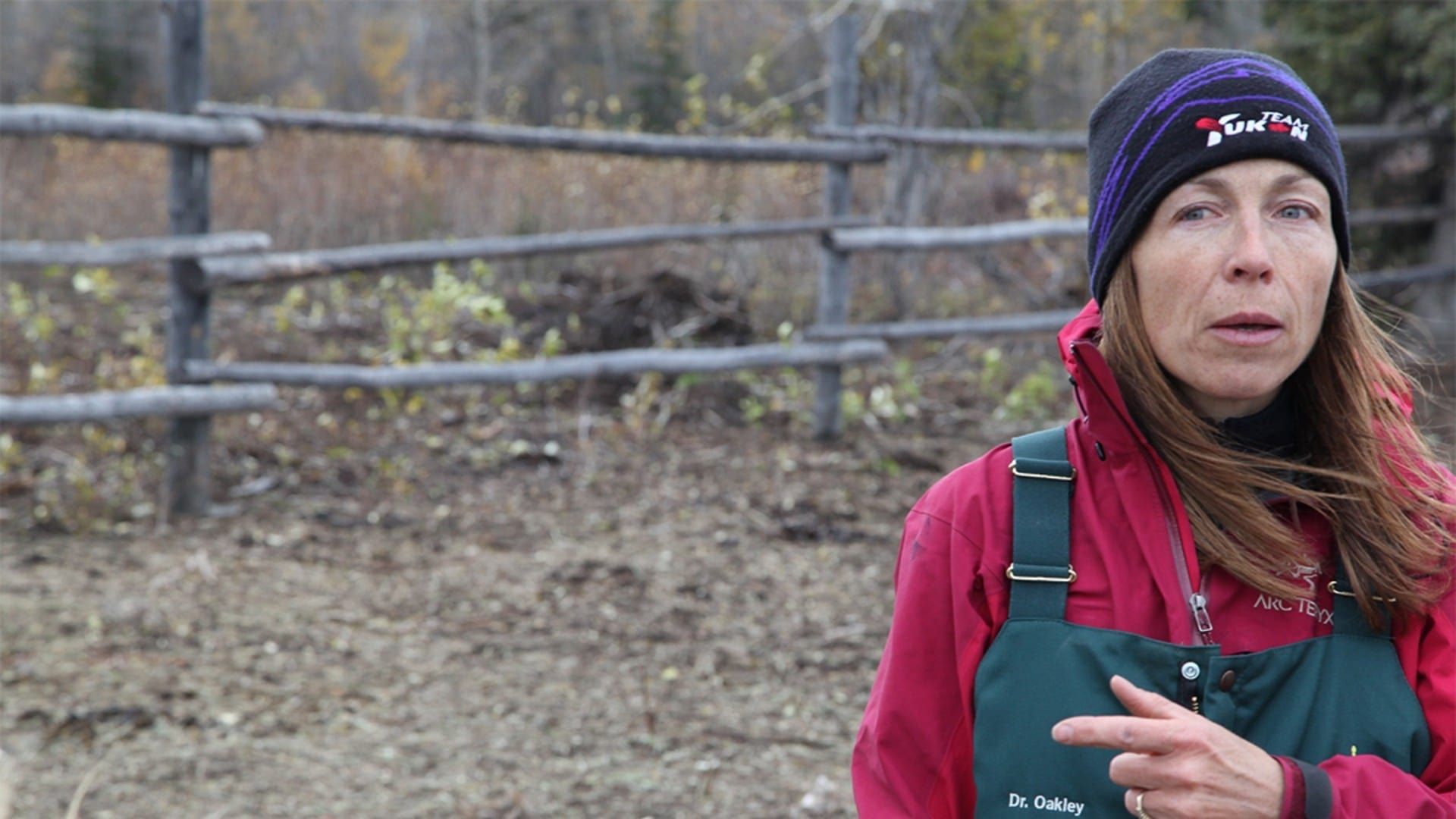 Dr. Oakley, Yukon Vet background