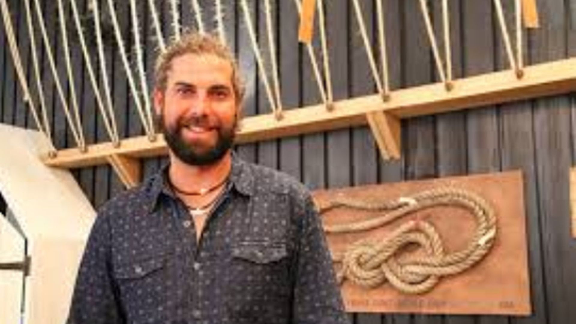 Masterchef Australia: The Professionals background