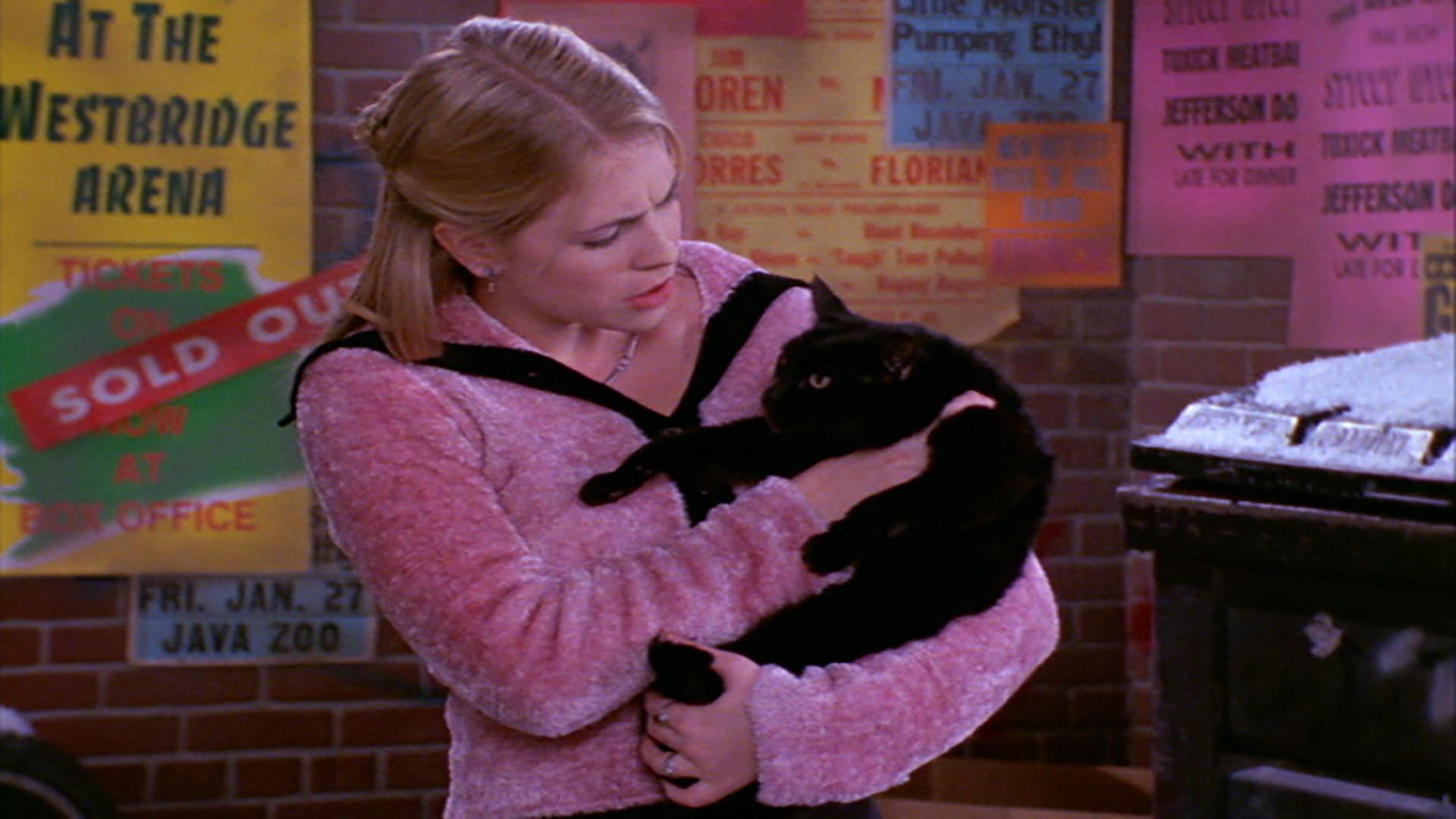 Sabrina the Teenage Witch background