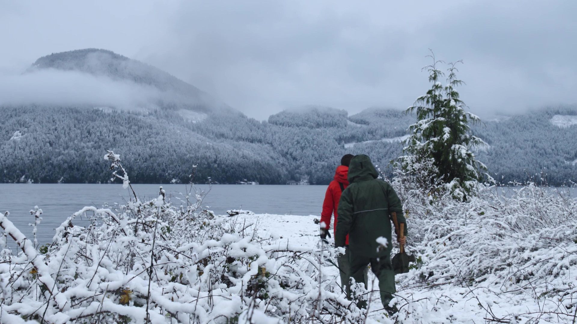 Chefs vs. Wild background