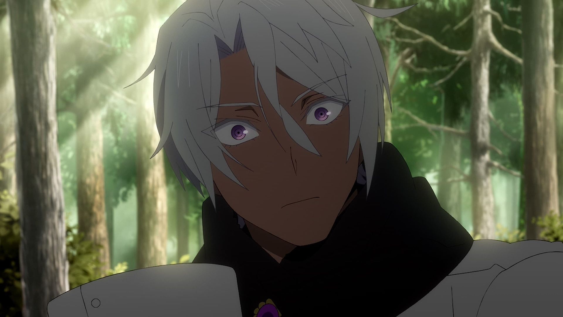 The Case Study of Vanitas background