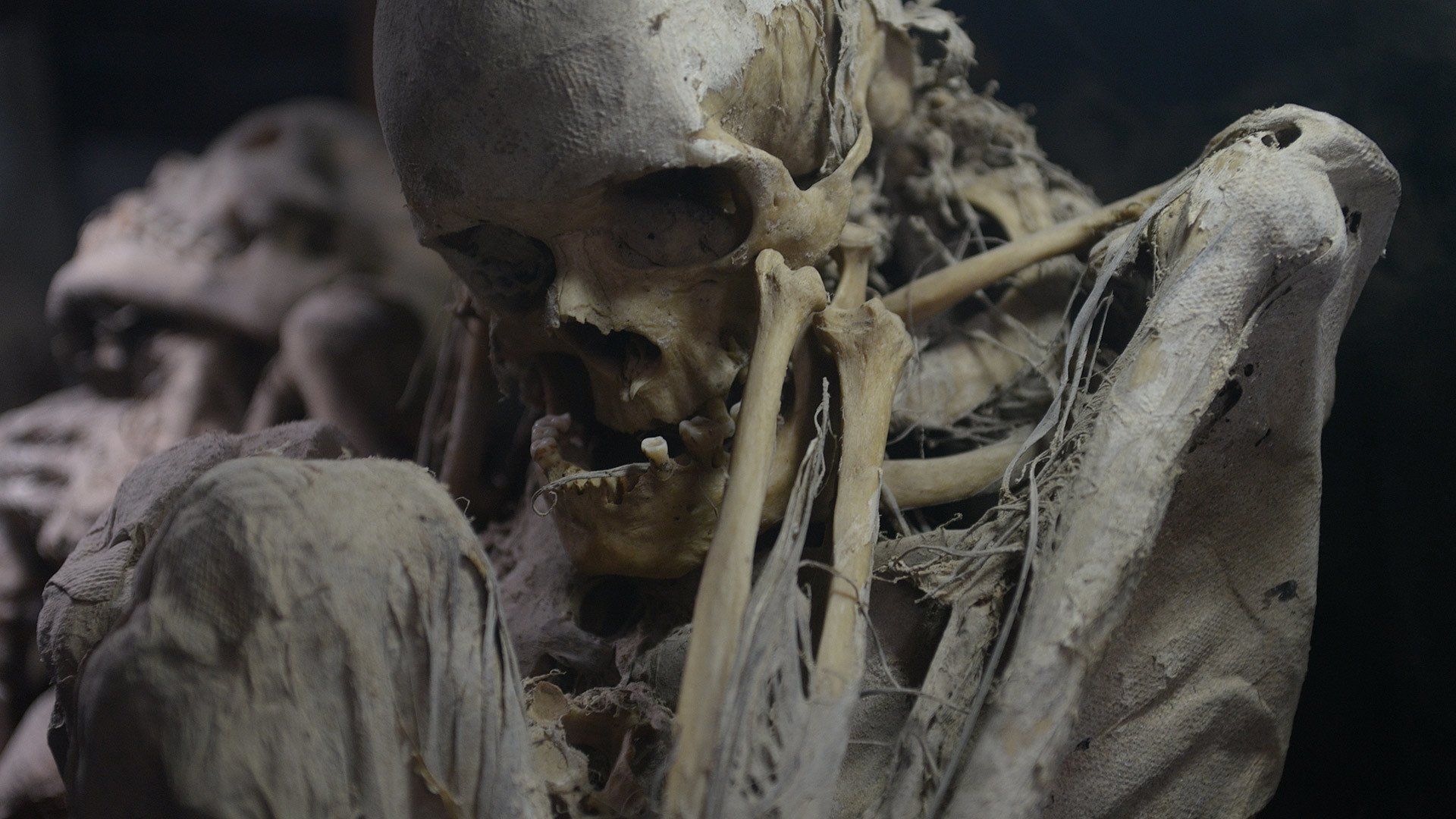 Secrets of the Dead background