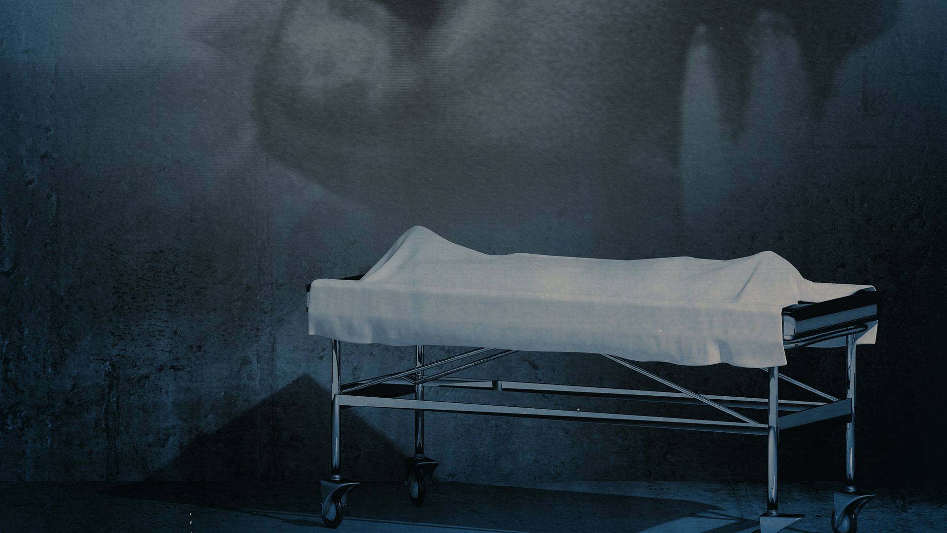 Alien Autopsy: The Search for Answers background