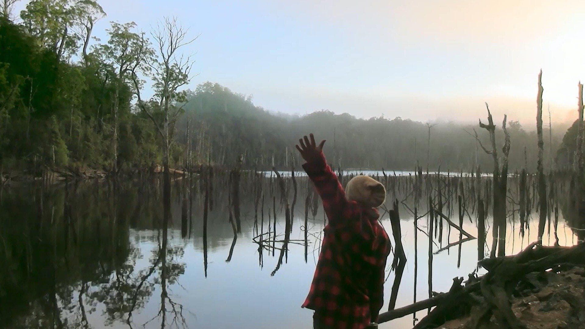 Alone Australia background