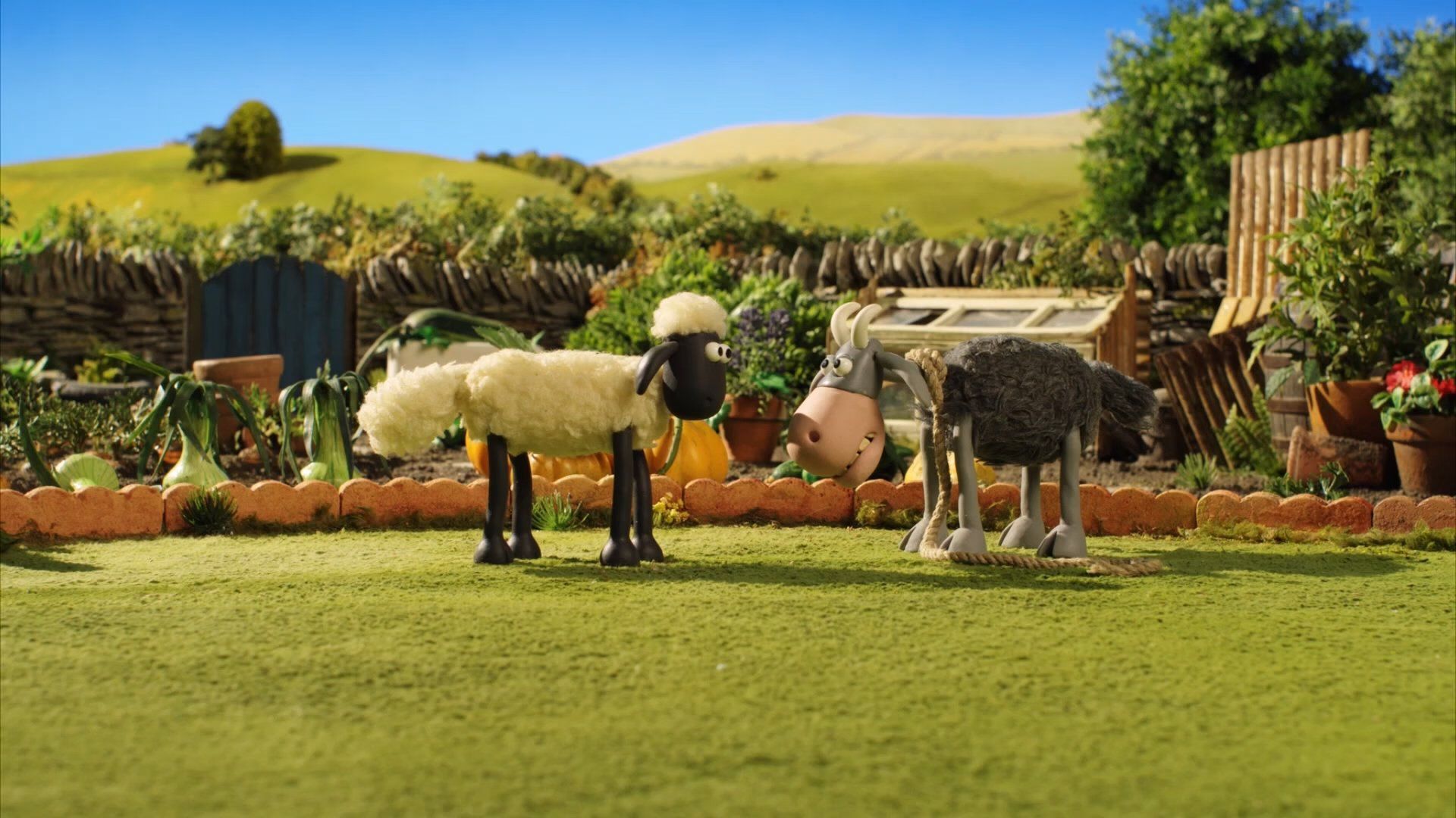 Shaun the Sheep background