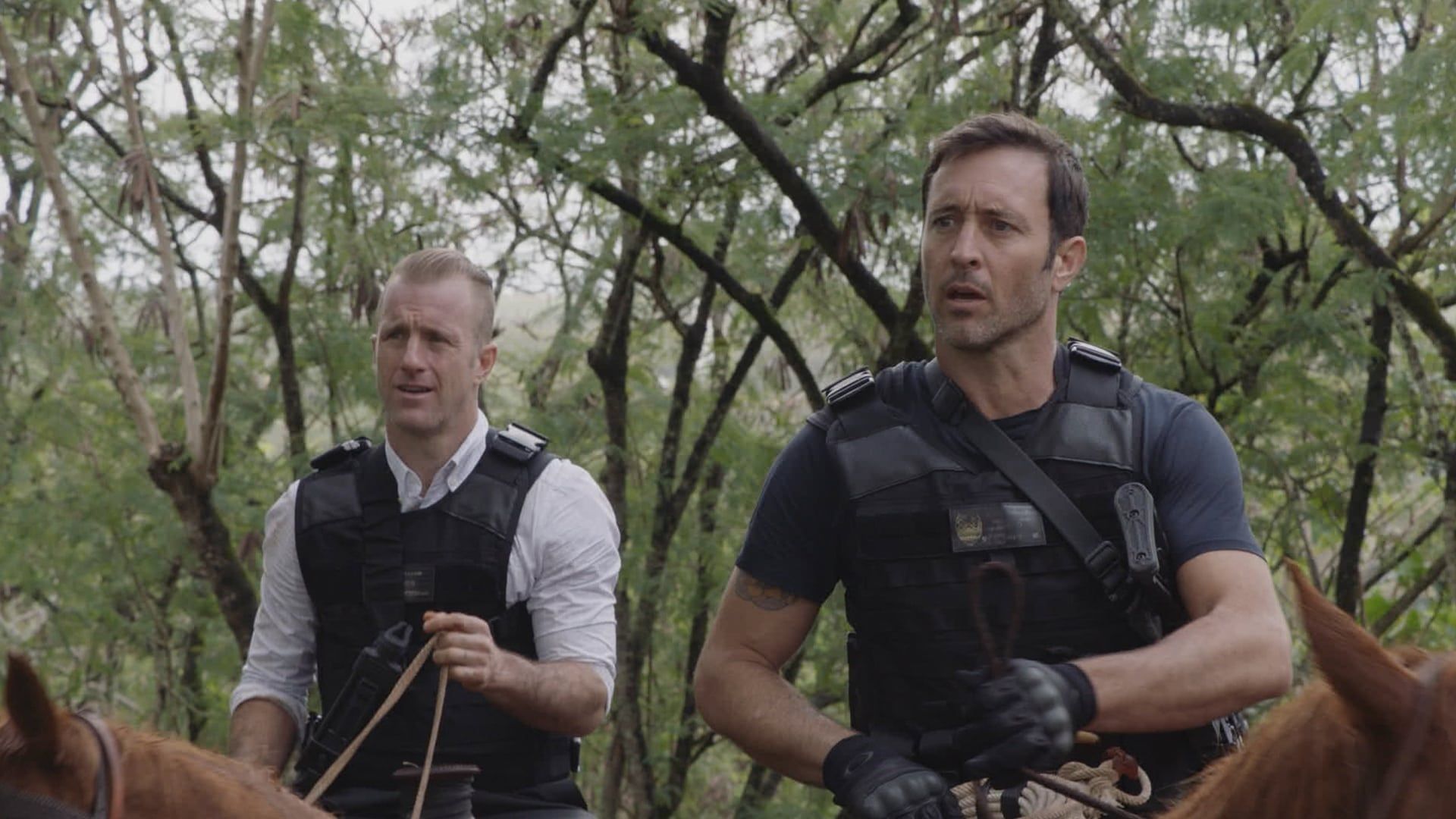 Hawaii Five-0 background