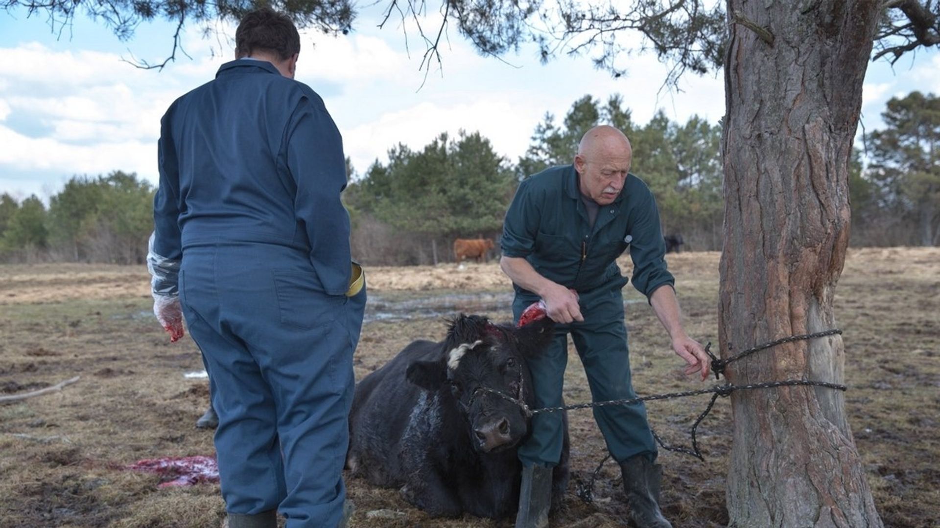 The Incredible Dr. Pol background