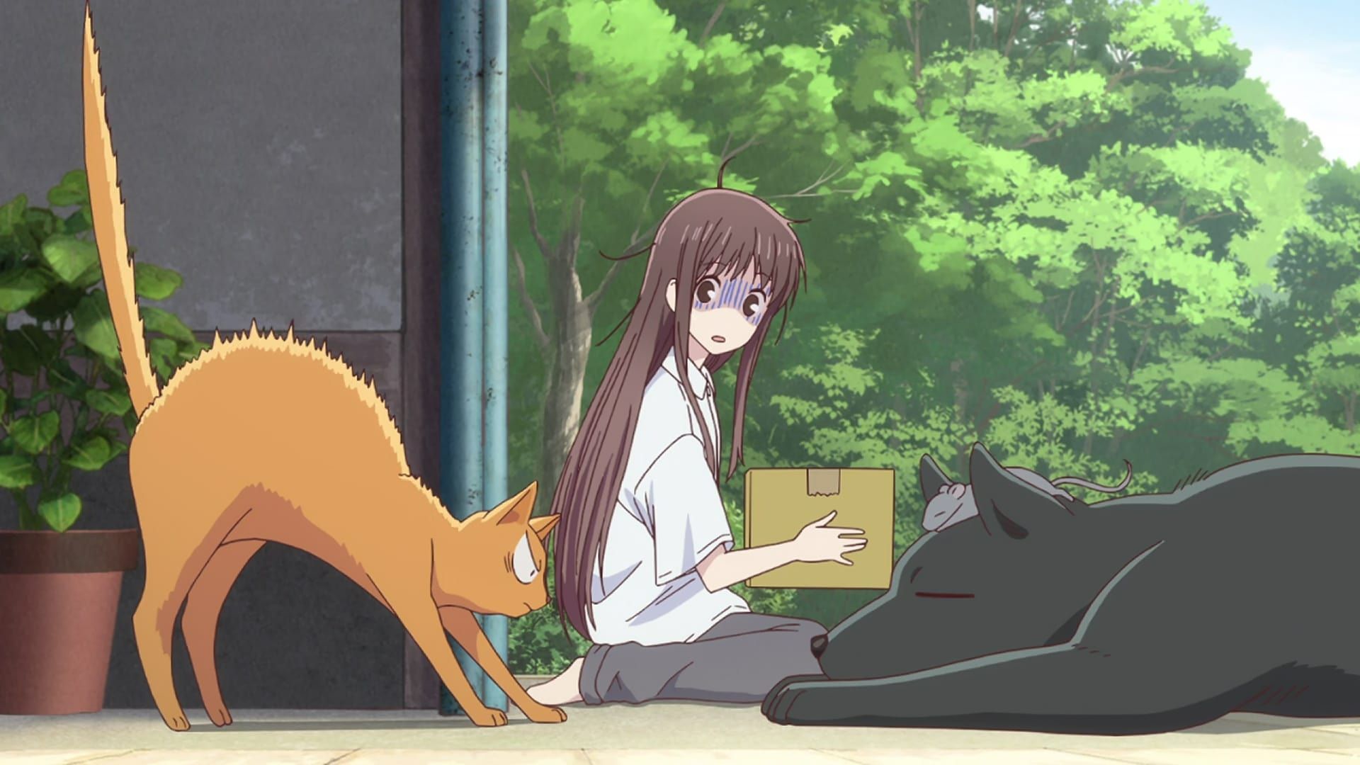Fruits Basket background