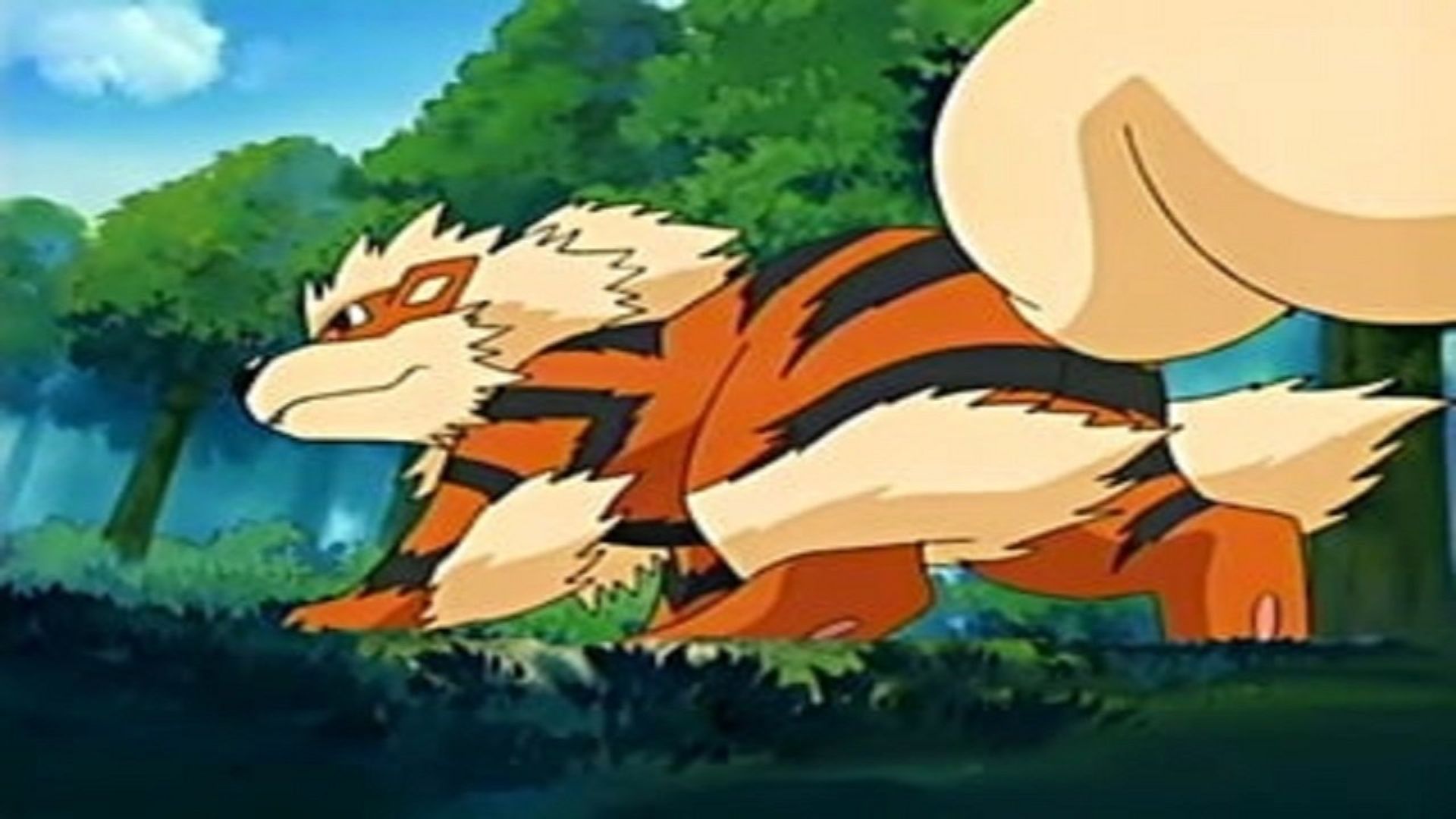 Pokémon background
