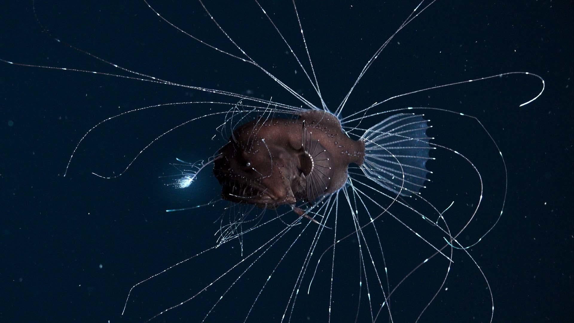 Our Planet background