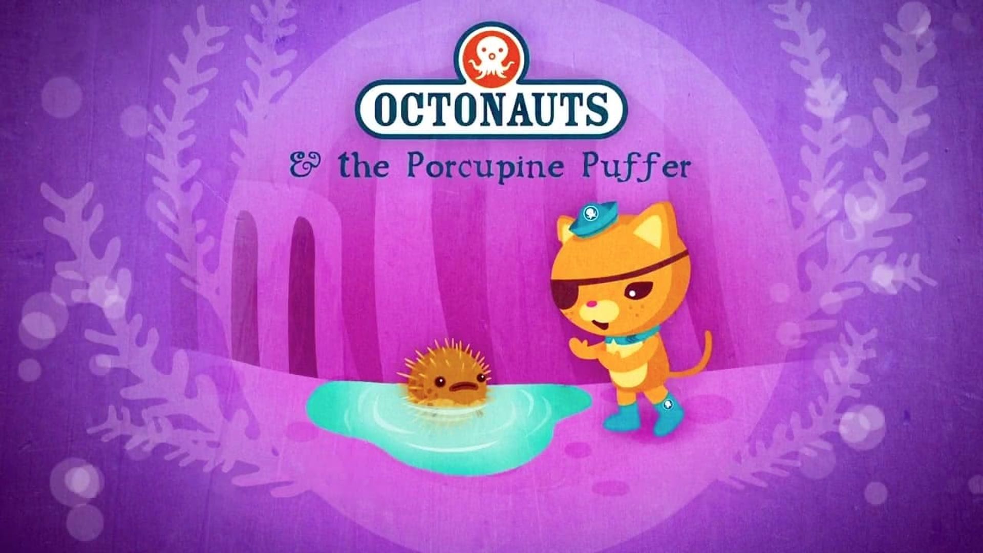 The Octonauts background