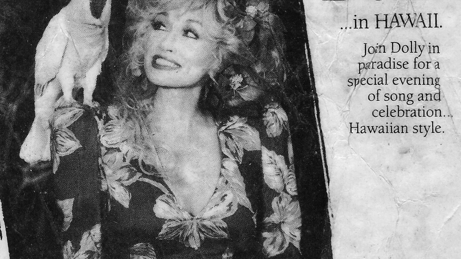 Dolly background