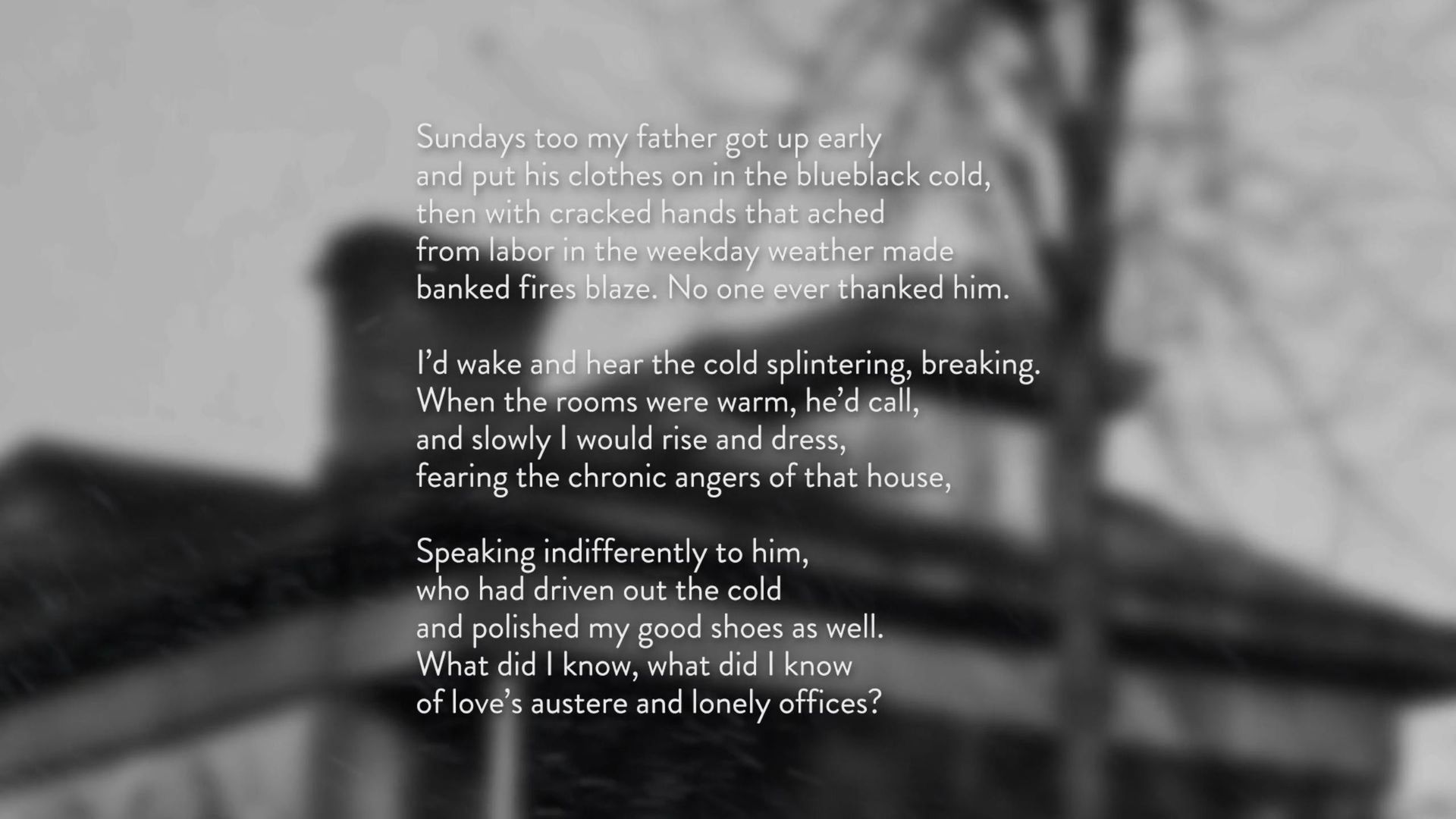 Poetry in America with Elisa New background