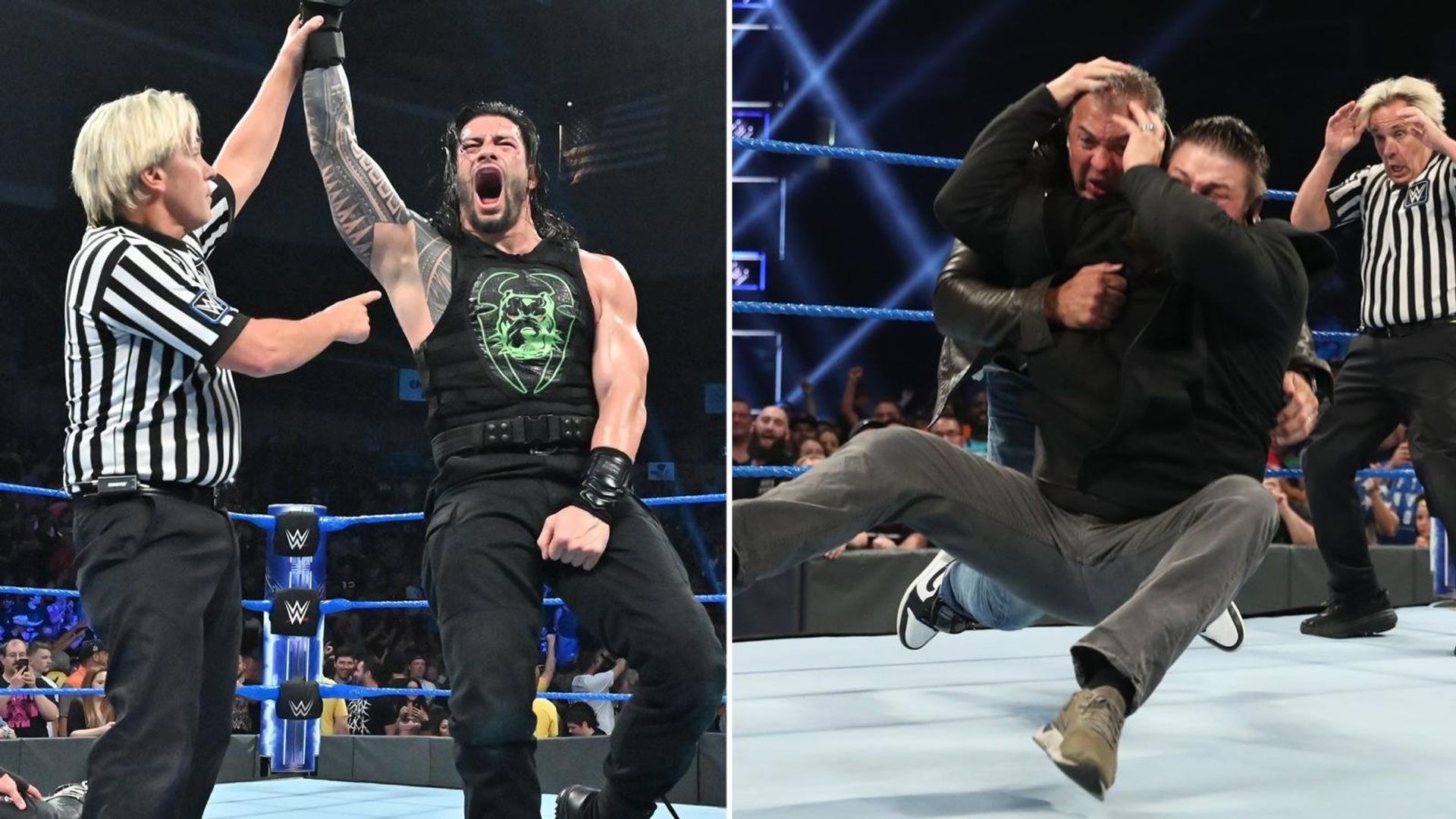 World Wrestling Federation Smackdown! background