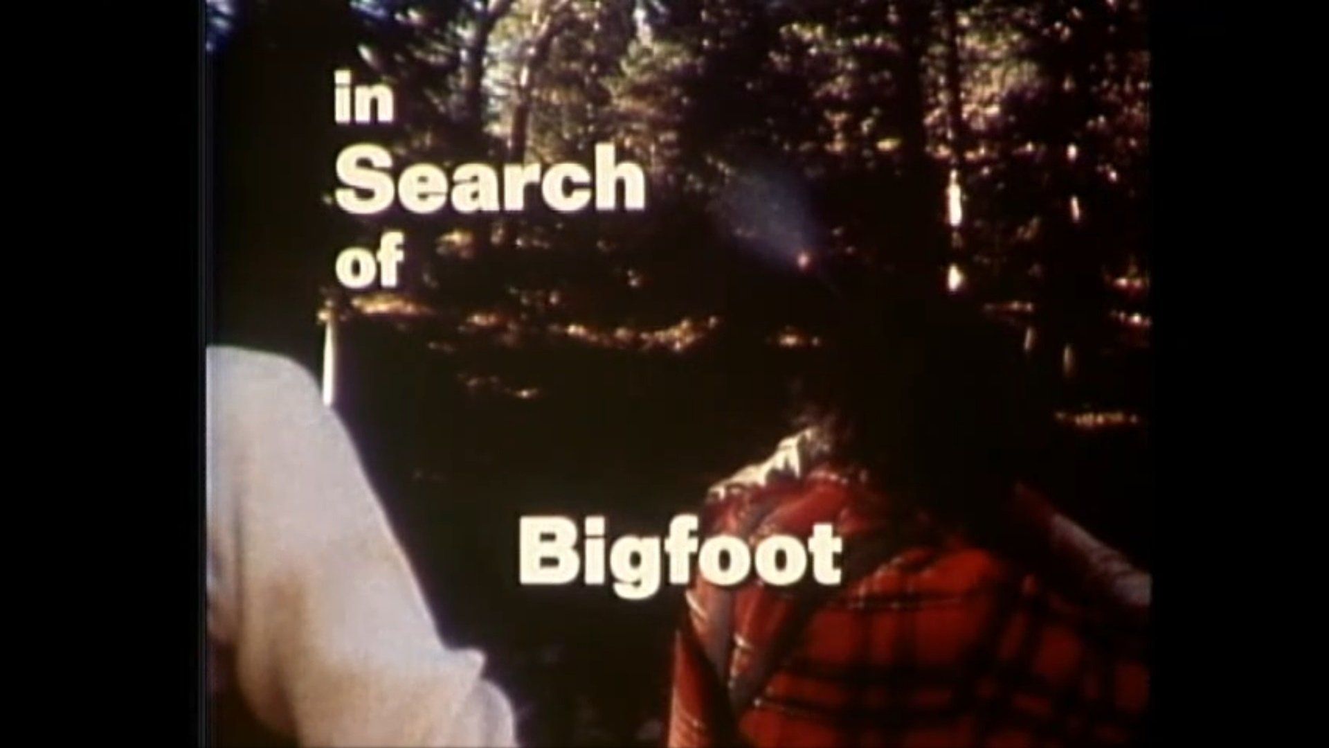 In Search of... background