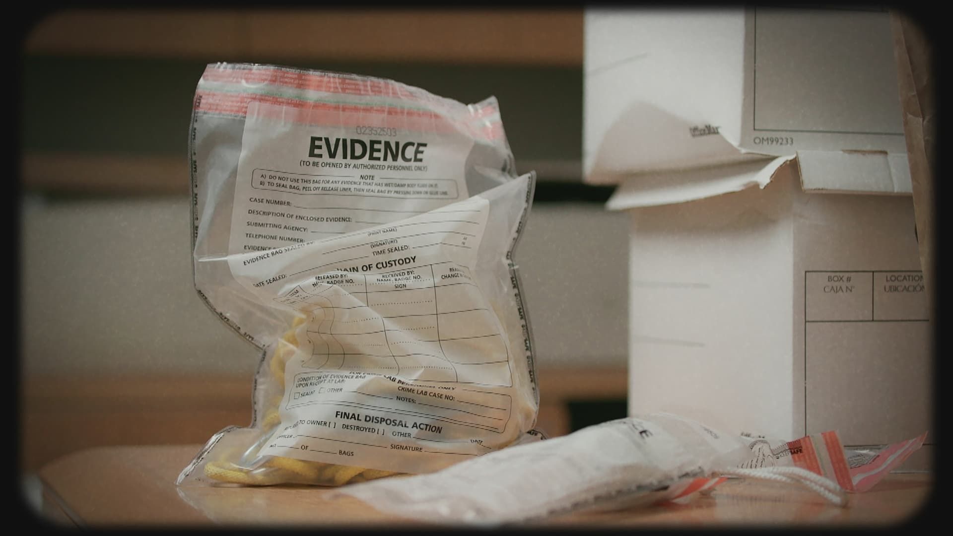 Painkiller: The Tylenol Murders background
