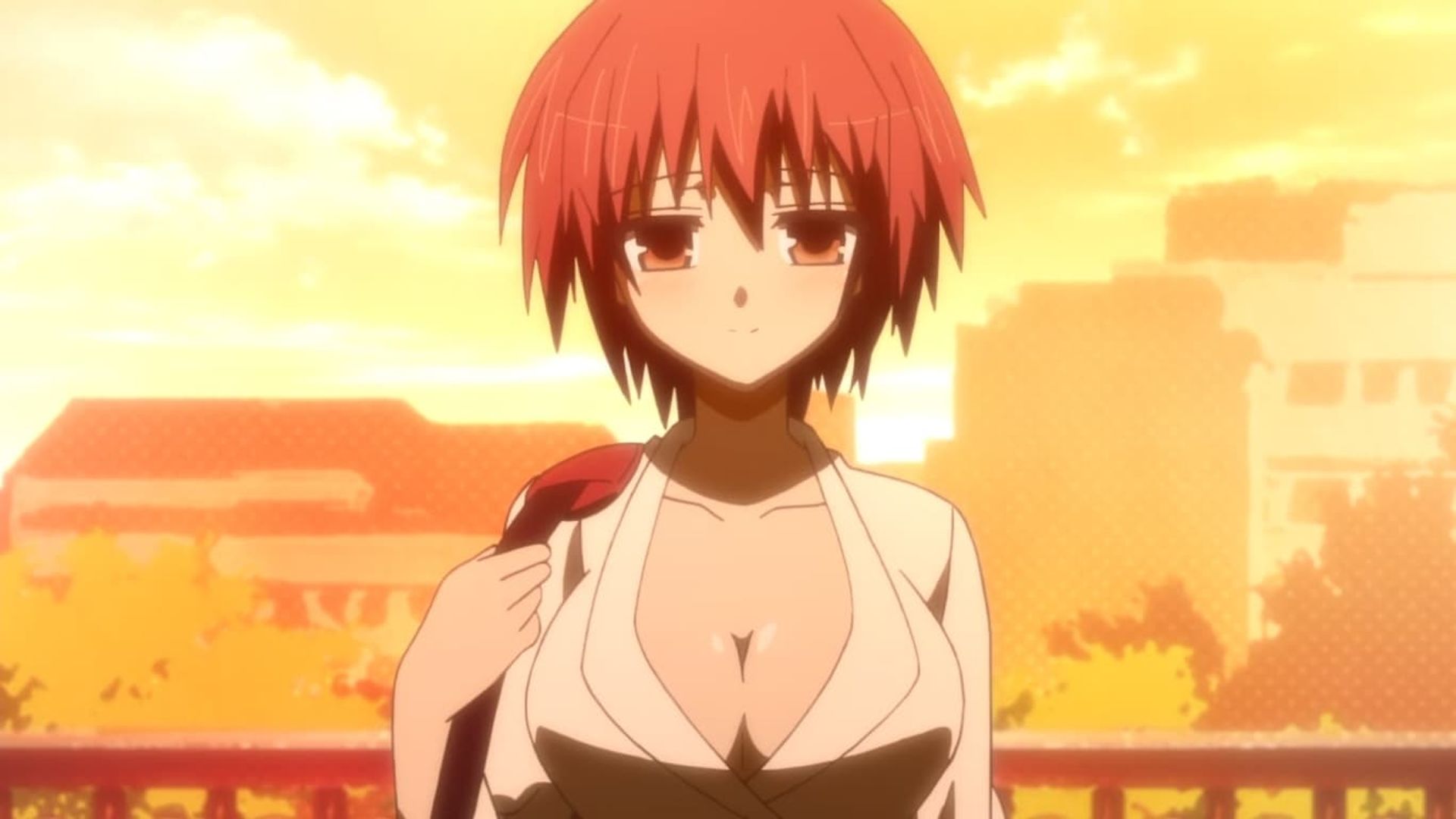 Baka and Test background