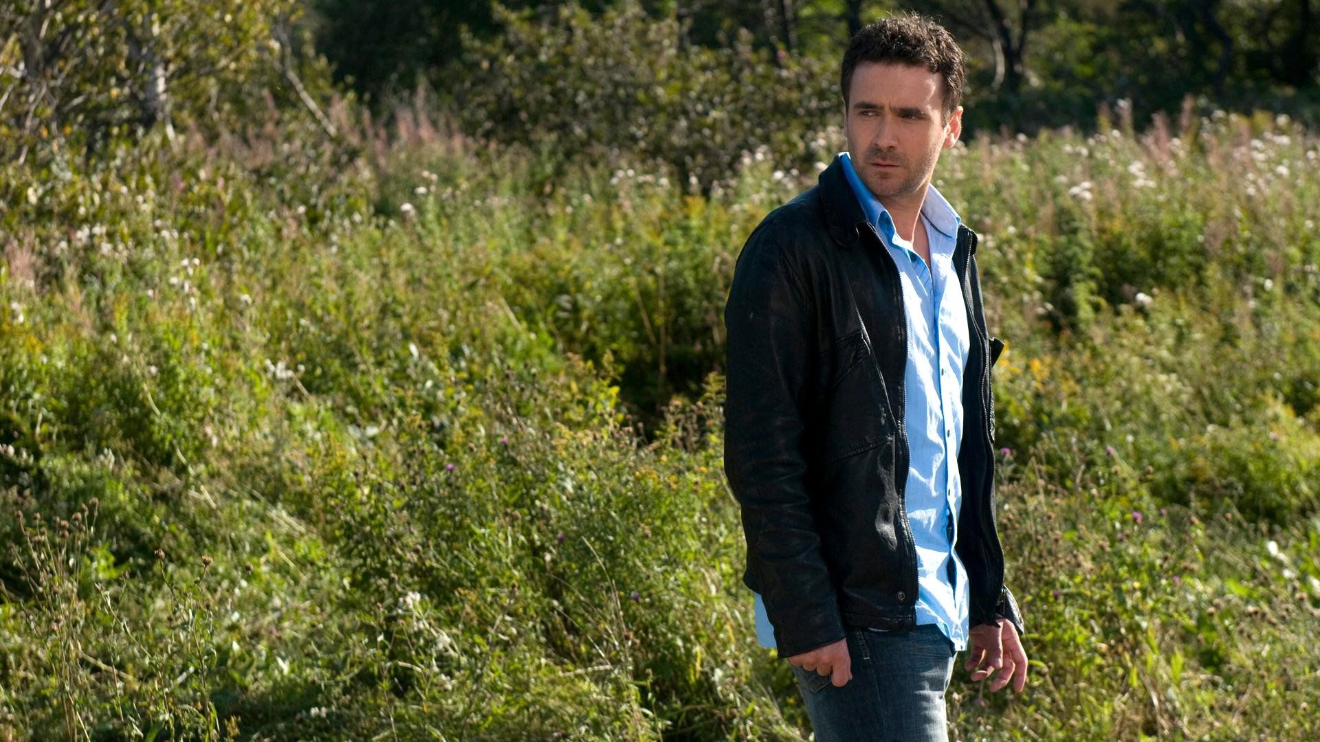 Republic of Doyle background