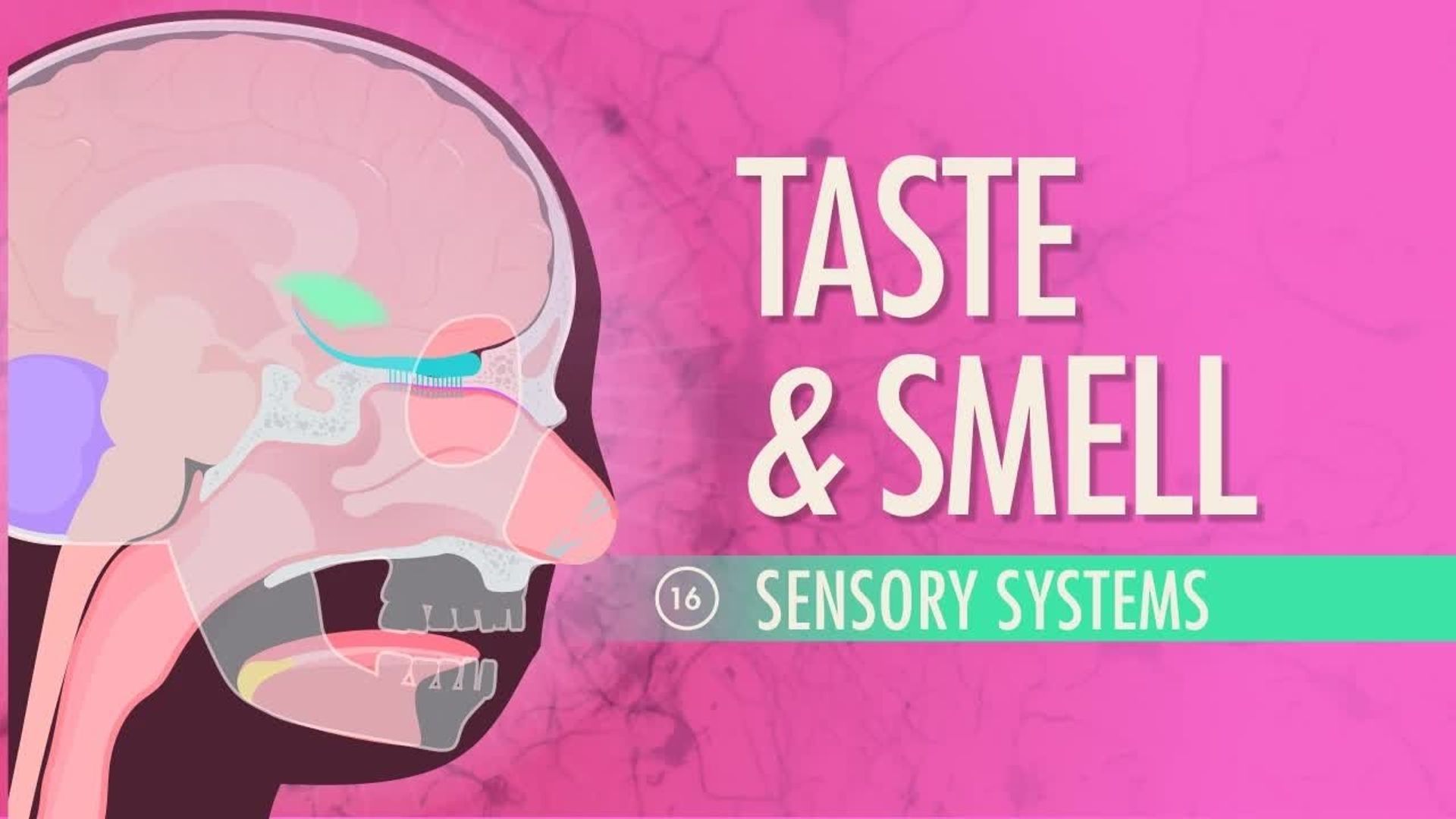 Crash Course: Anatomy & Physiology background