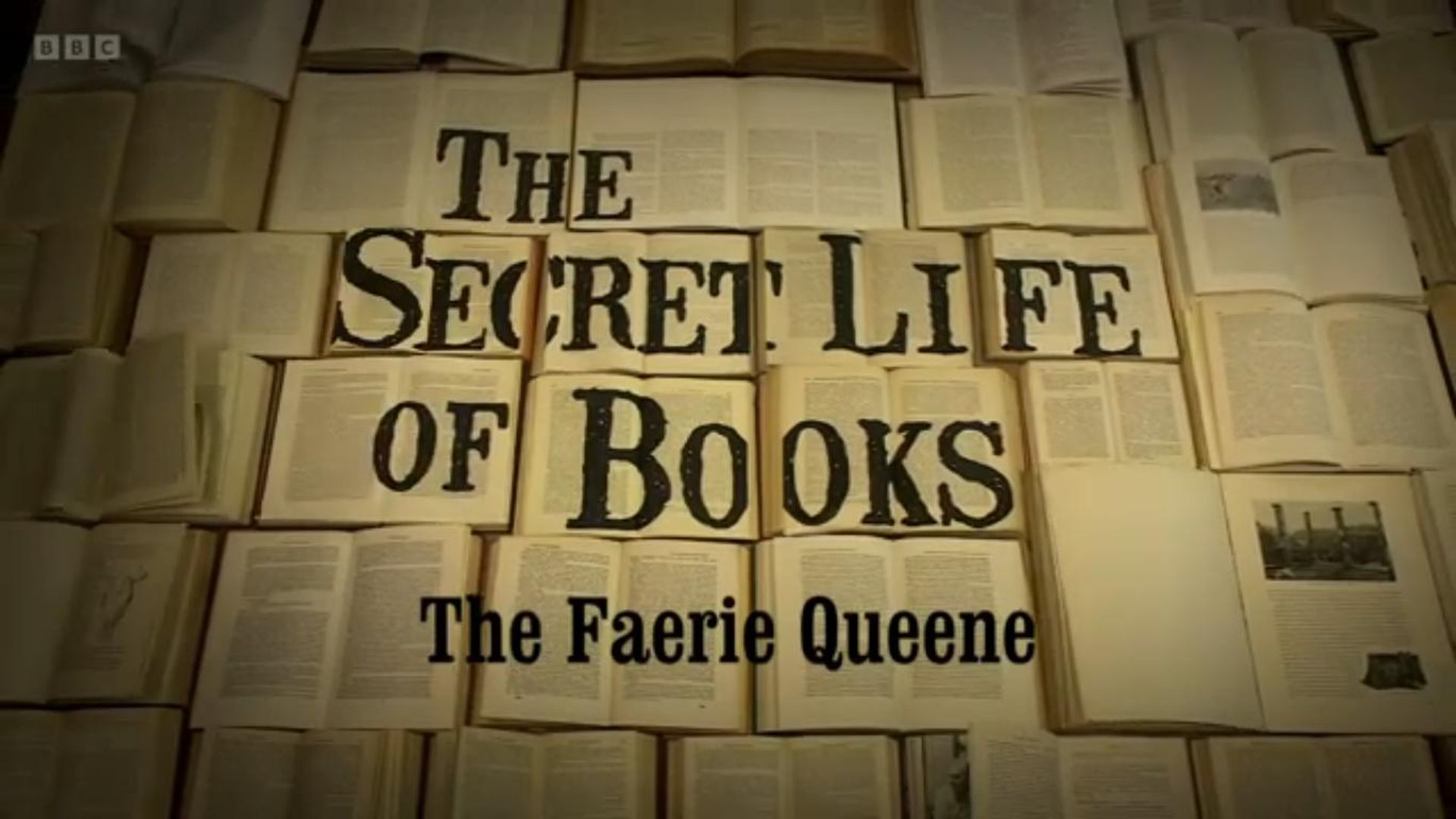 The Secret Life of Books background