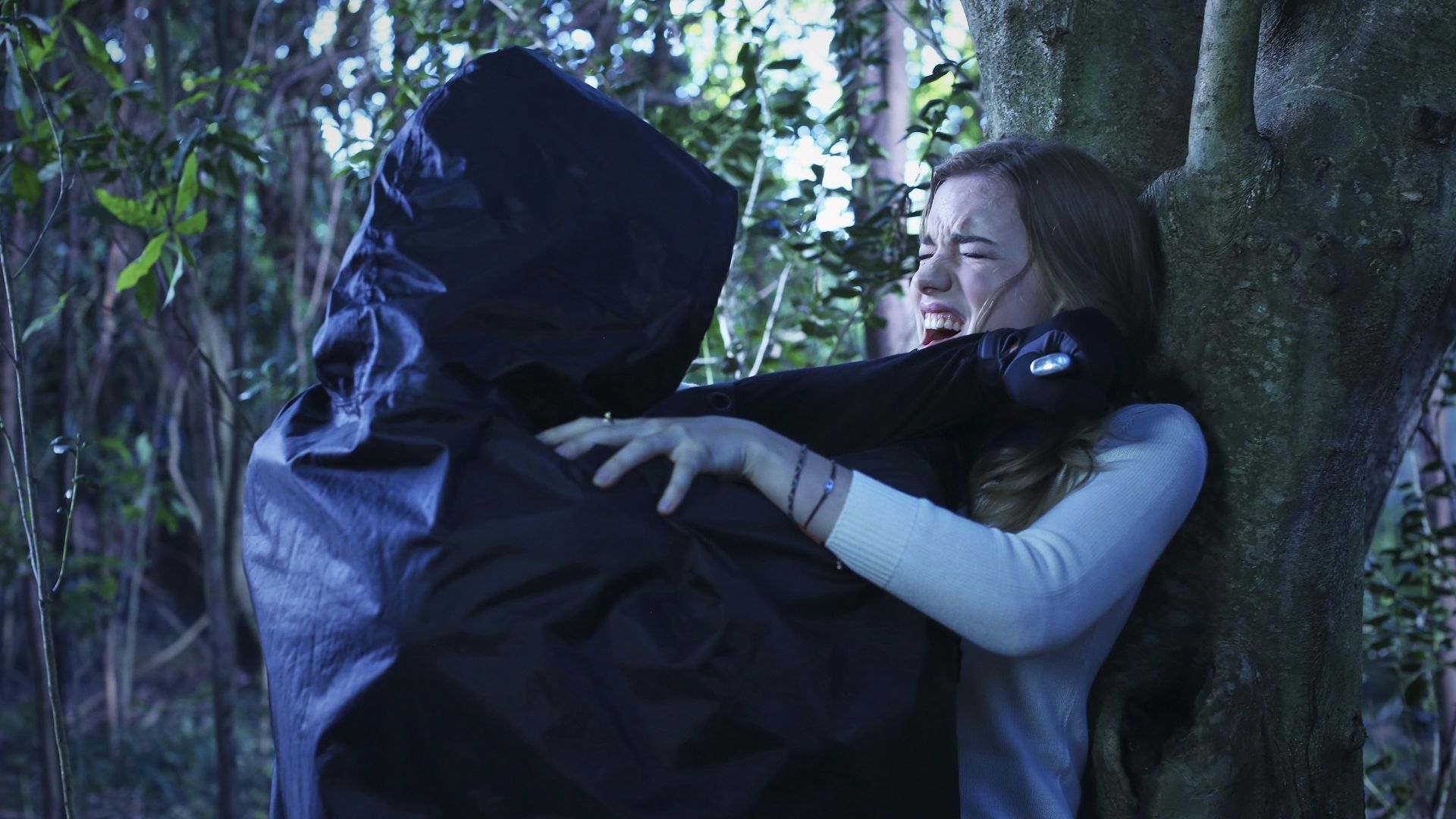 Scream: The TV Series background
